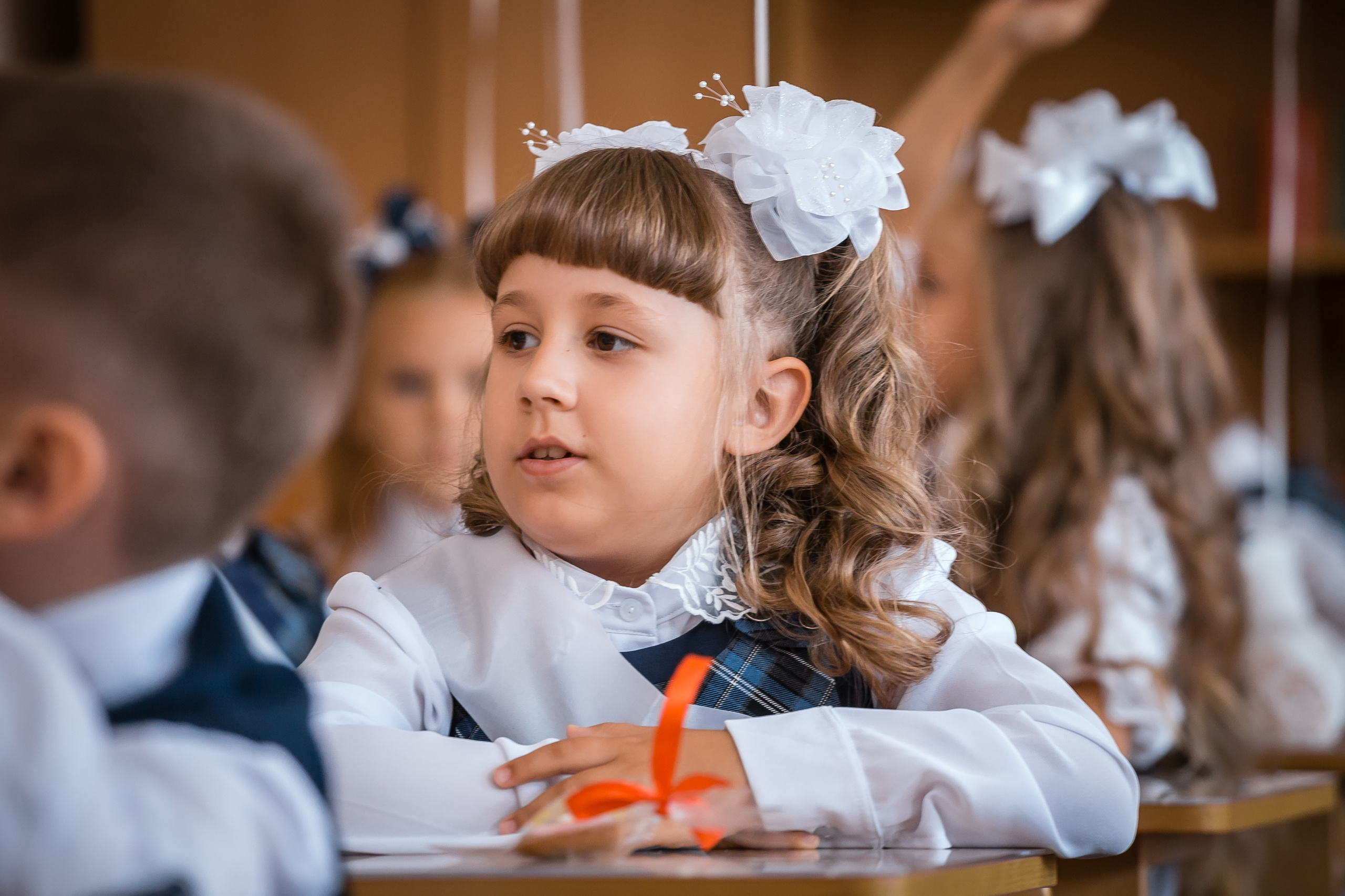 Праздничная линейка 1 сентября. Фотографиня Мария Дикова