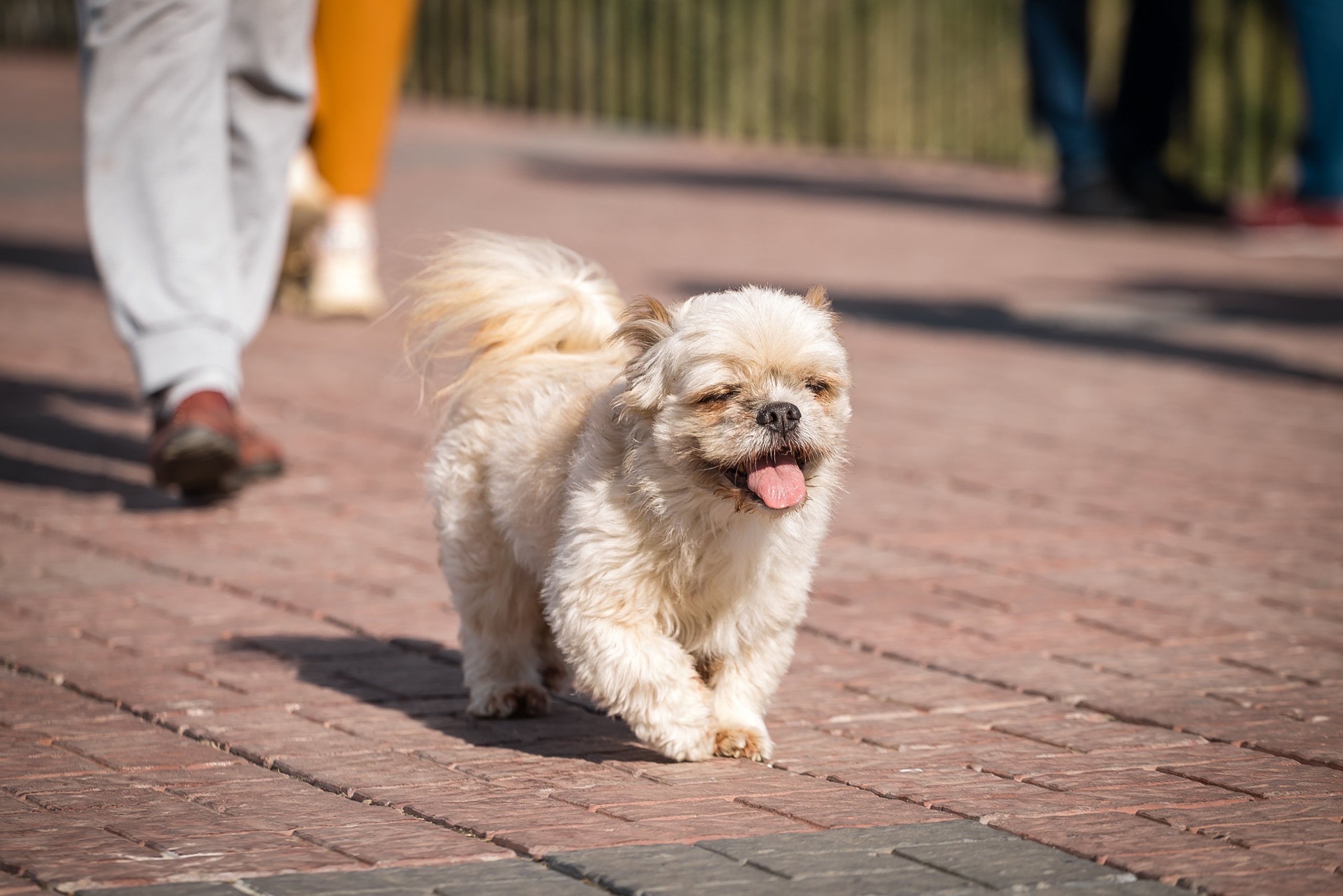 G.team — мост на Федоровского. Фотографиня Мария Дикова