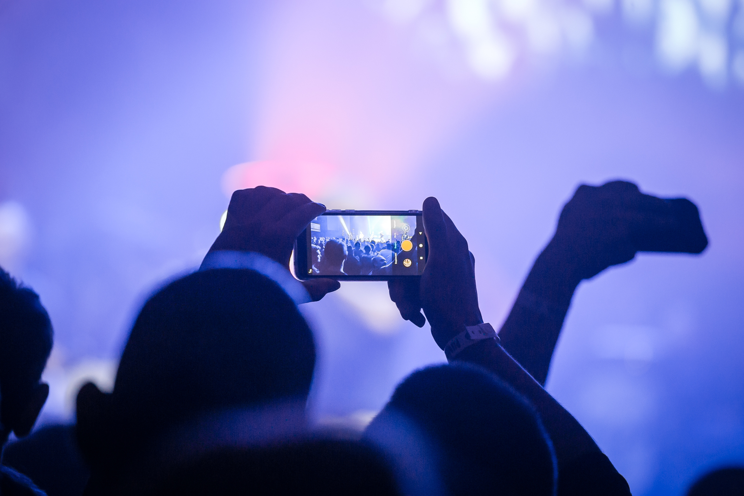 Фестиваль Punk Rupor. Фотографиня Мария Дикова