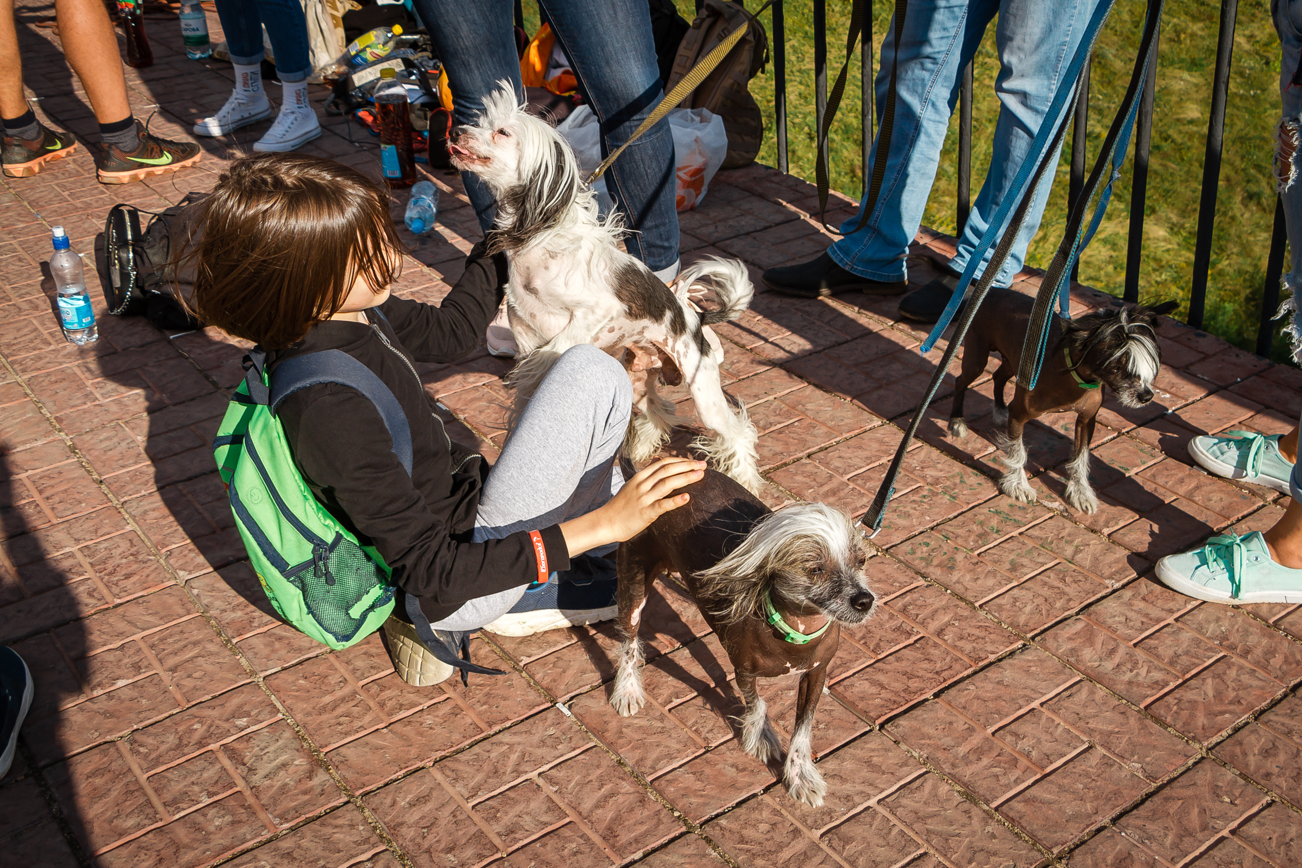 G.team — мост на Федоровского. Фотографиня Мария Дикова