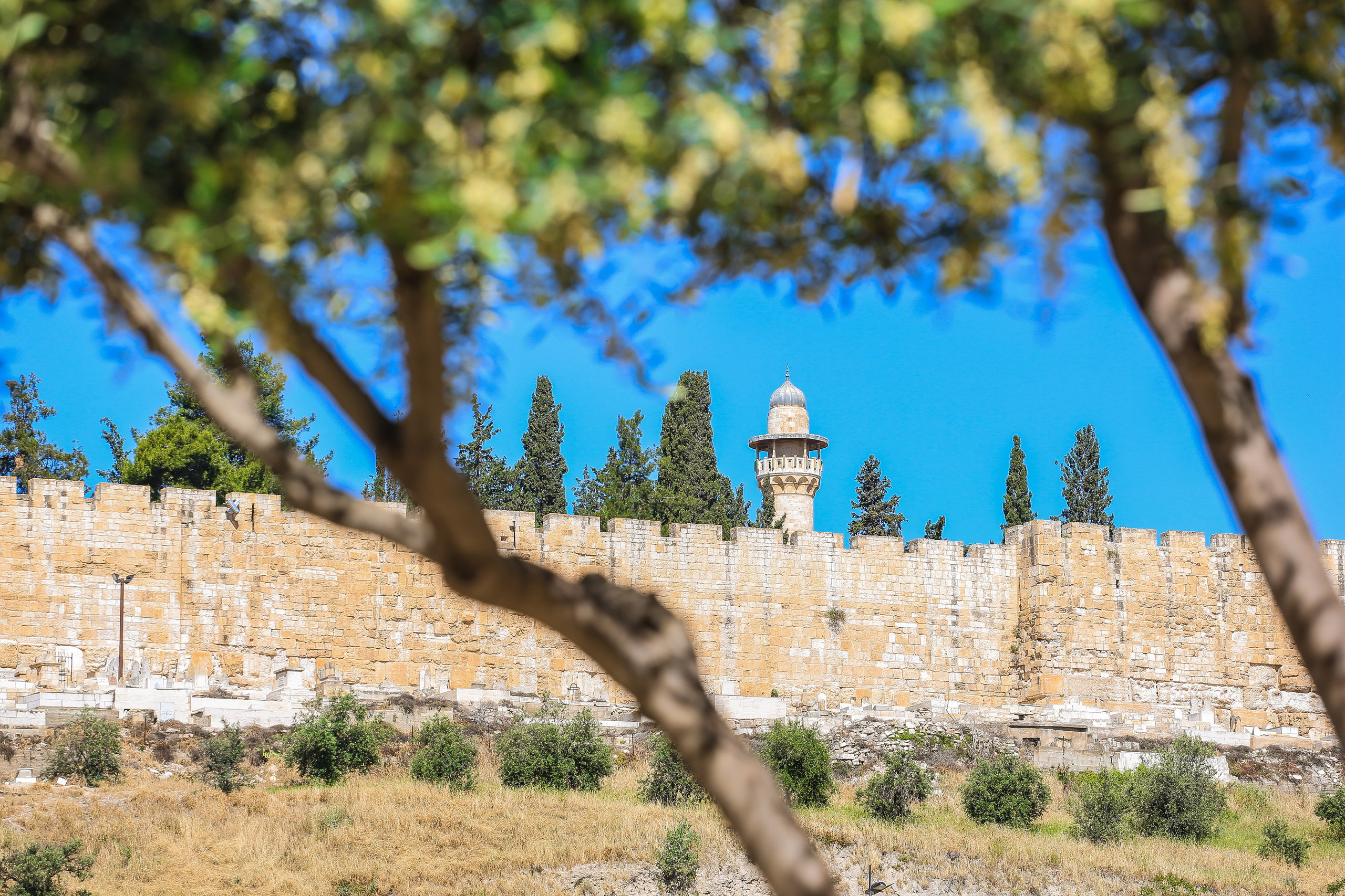 Израиль: Иерусалим. Дарья Письменюк / Darya Leitstern — фотограф, музыкант, журналист, путешественник