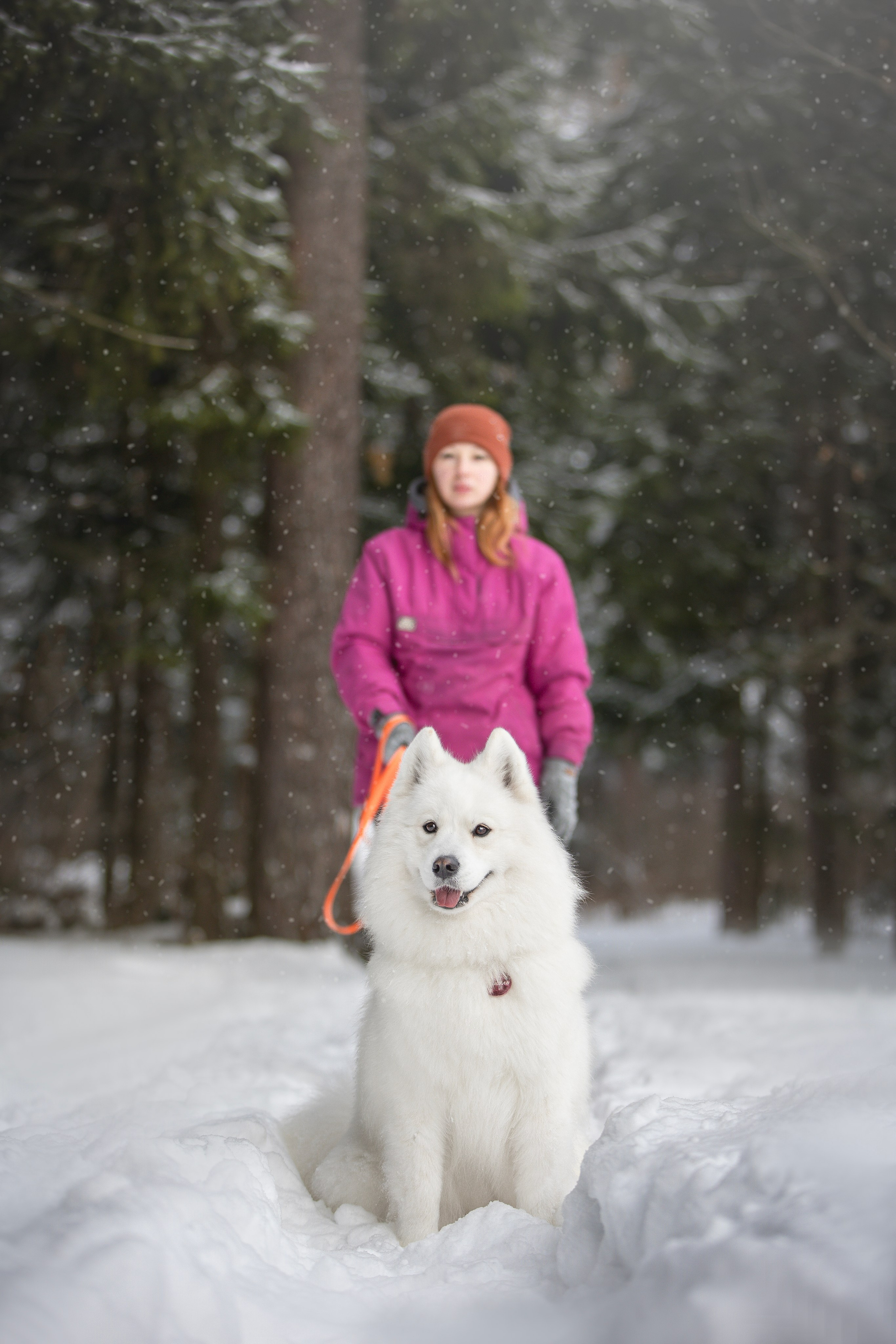 Руби, Николь, Кирилл и Мила. Фотограф анималист в Москве Майорова Евгения