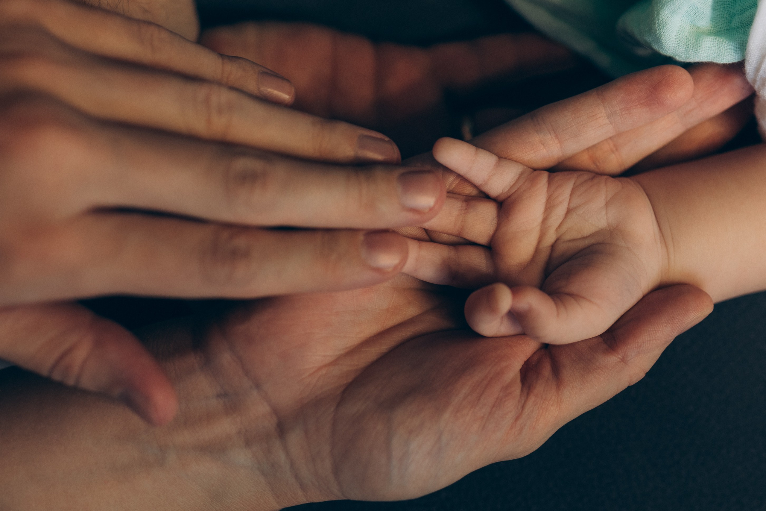 Дмитрий, Ольга и малыш Лев. Семейный, свадебный фотограф в Чите Екатерина Мельникова