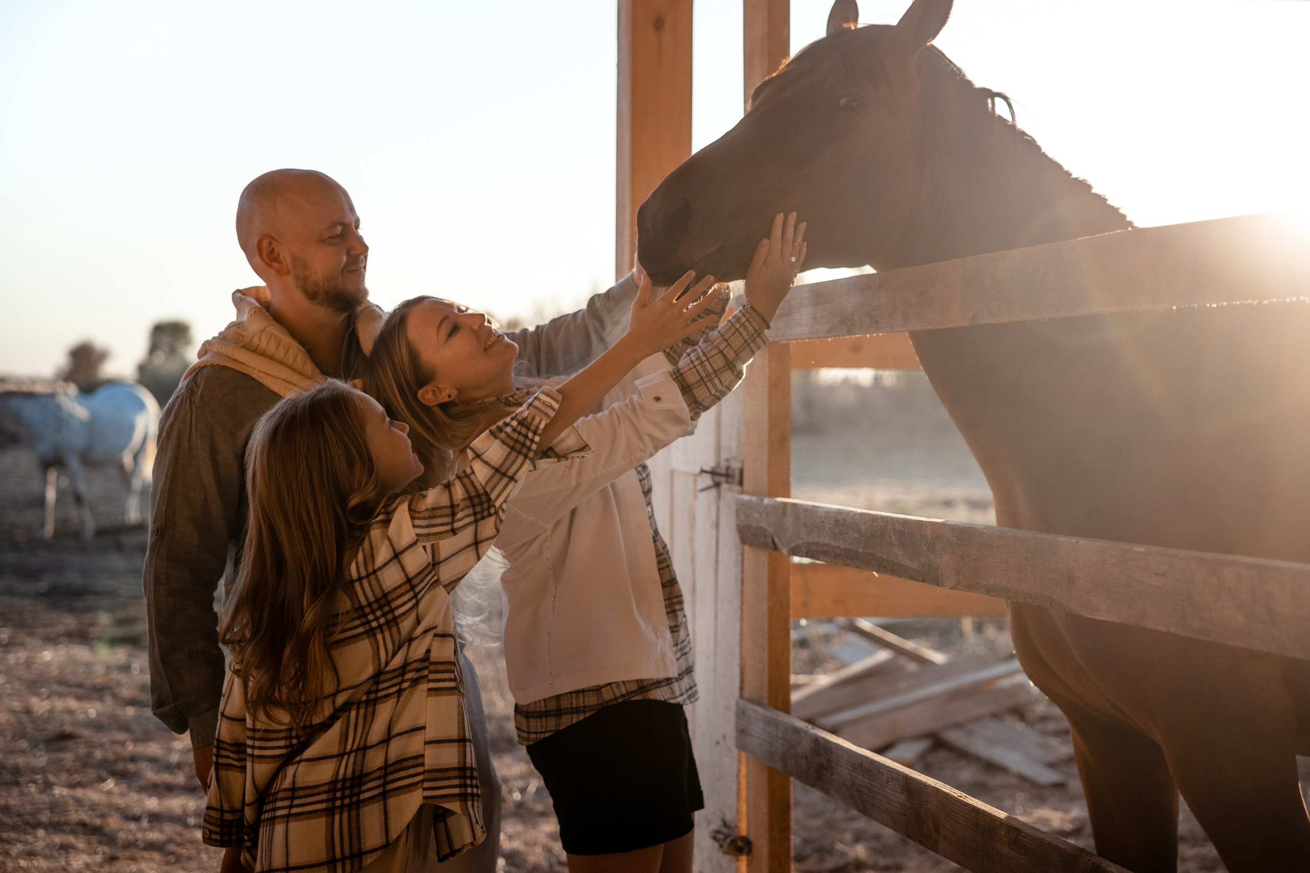 Татьяна с семьёй. Съёмка в конюшне. Татьяна Мирзоян