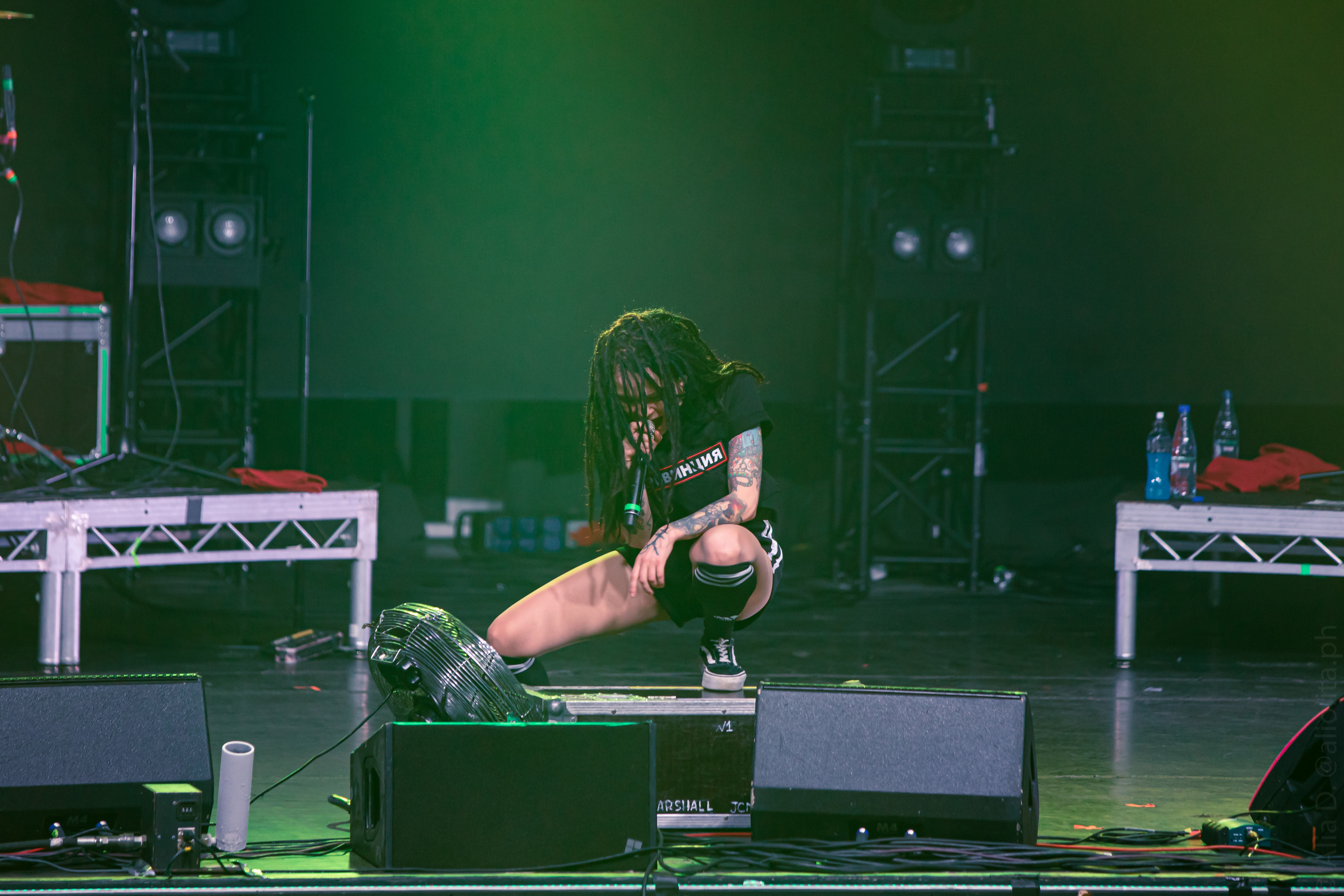 Concert and event photographer Elena (Alia) Denisova