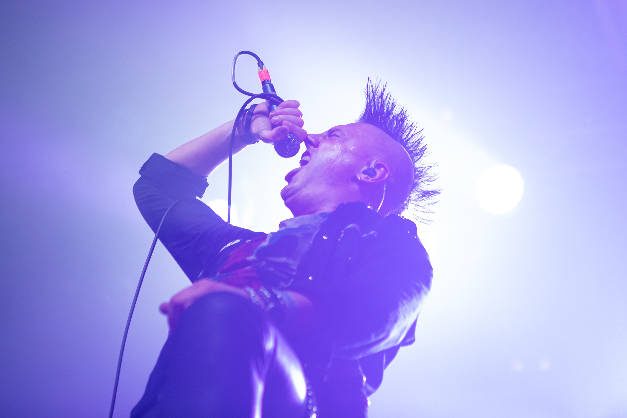 Gallery. Concert and event photographer Elena (Alia) Denisova