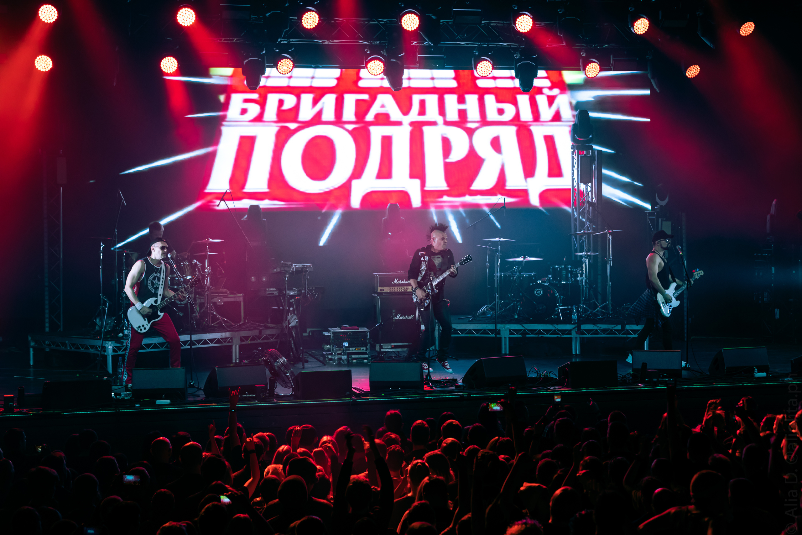 Gallery. Concert and event photographer Elena (Alia) Denisova