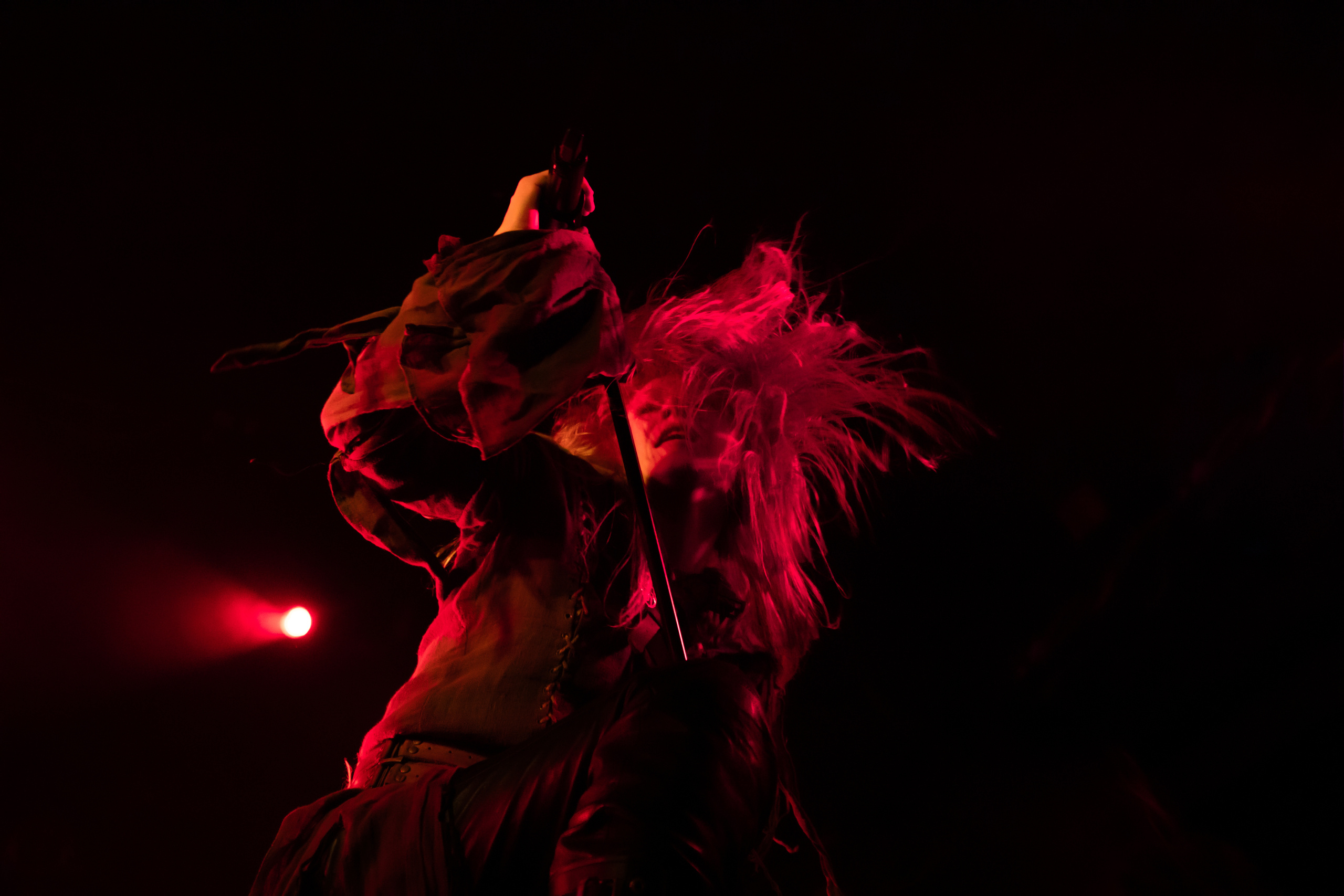 Concert and event photographer Elena (Alia) Denisova