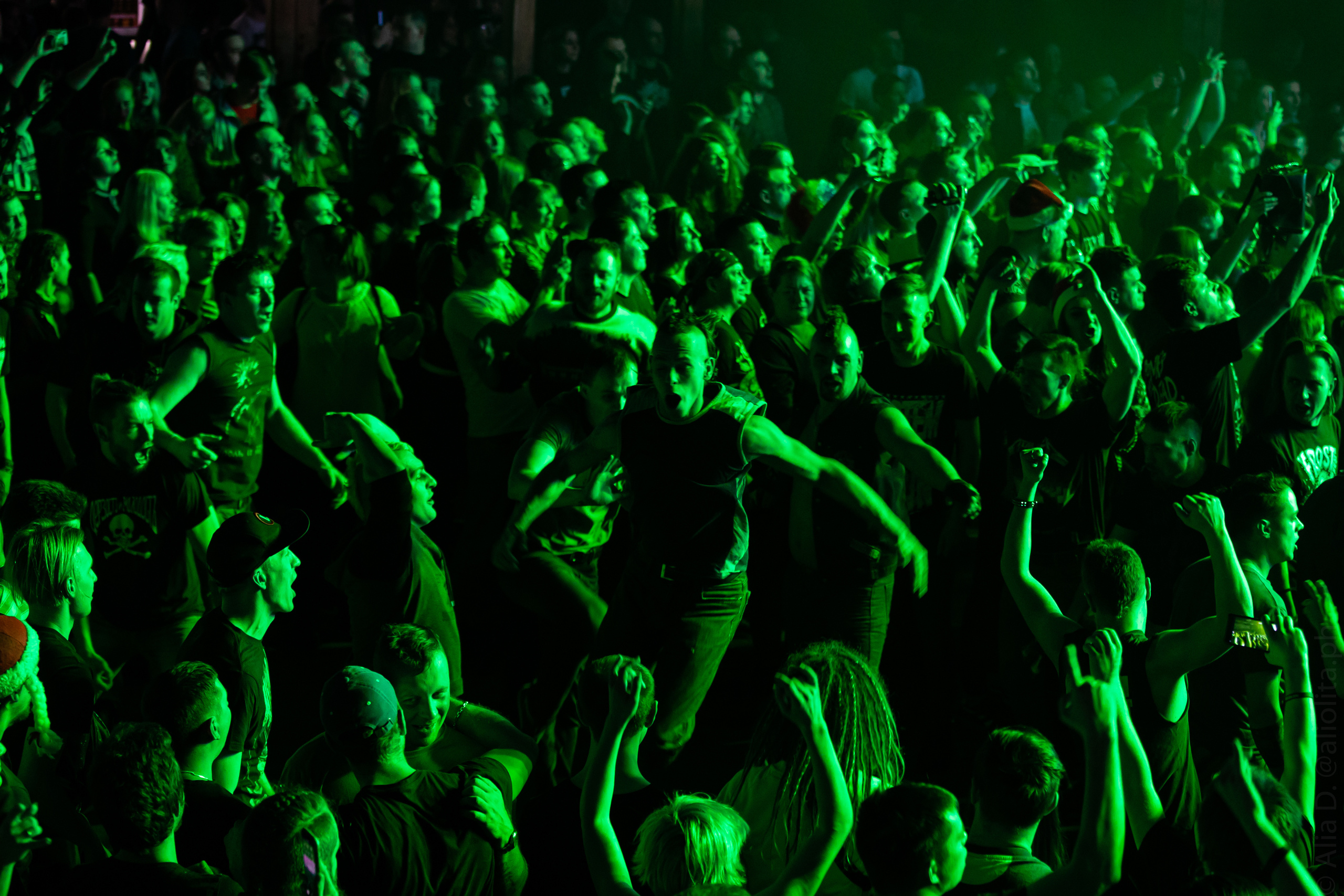 Gallery. Concert and event photographer Elena (Alia) Denisova