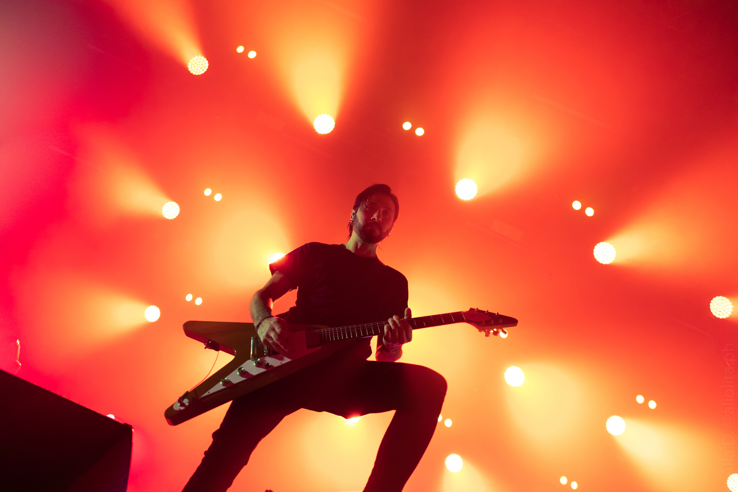 Gallery. Concert and event photographer Elena (Alia) Denisova