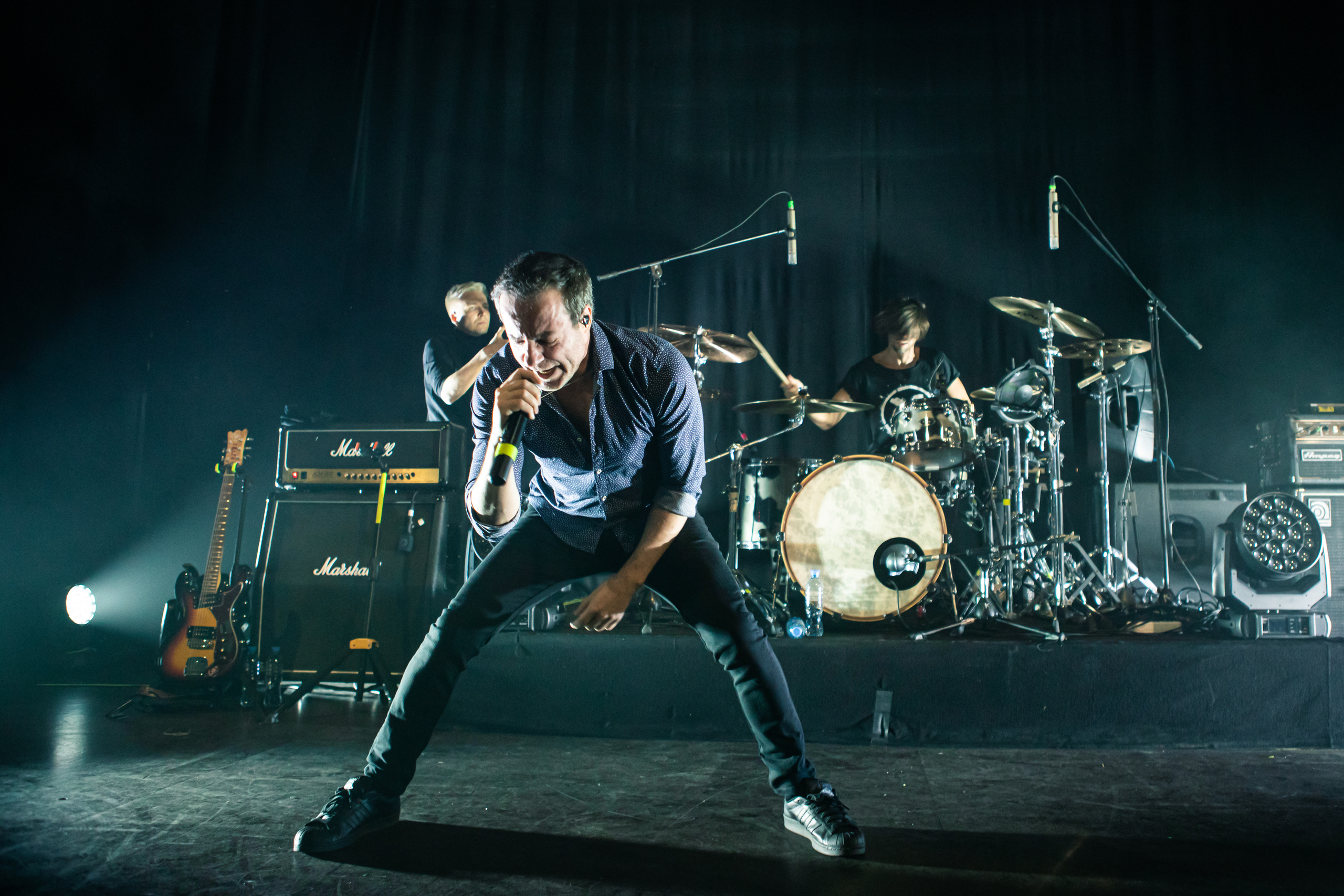 Gallery. Concert and event photographer Elena (Alia) Denisova