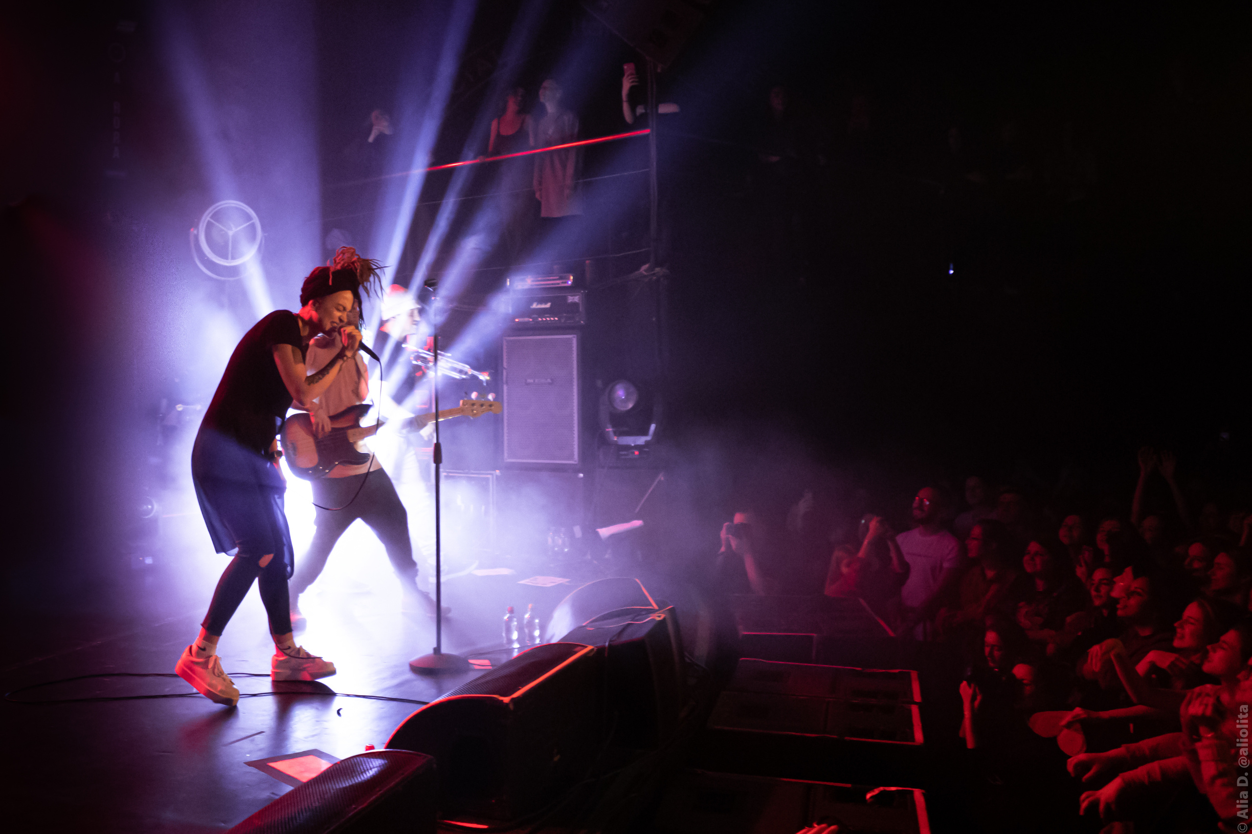 Gallery. Concert and event photographer Elena (Alia) Denisova