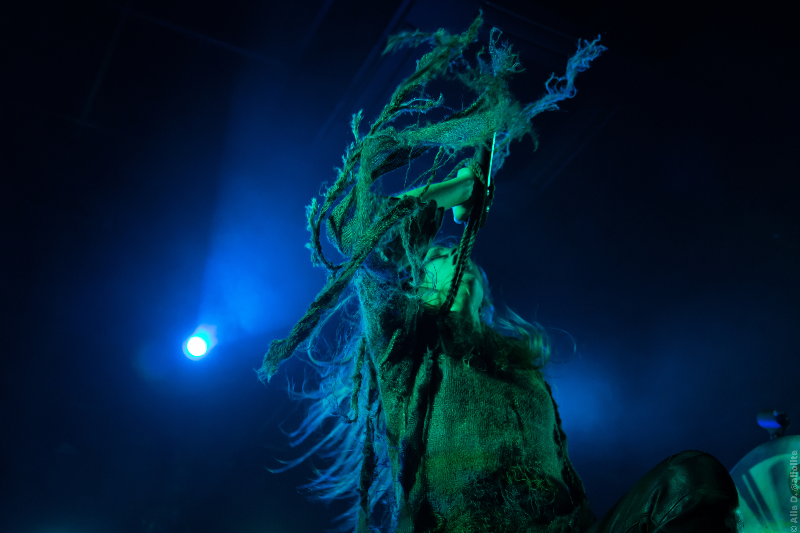 Gallery. Concert and event photographer Elena (Alia) Denisova