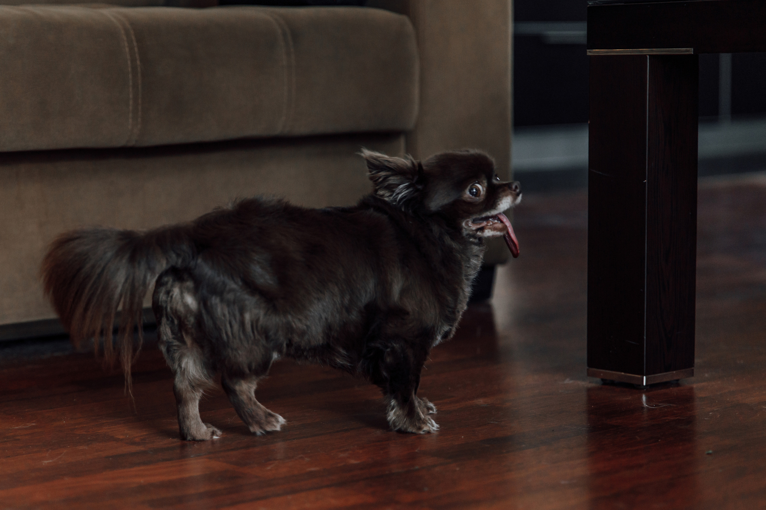 Миша и Вика 2021. Свадебный фотограф в Москве, Ярославле Виталий Квант