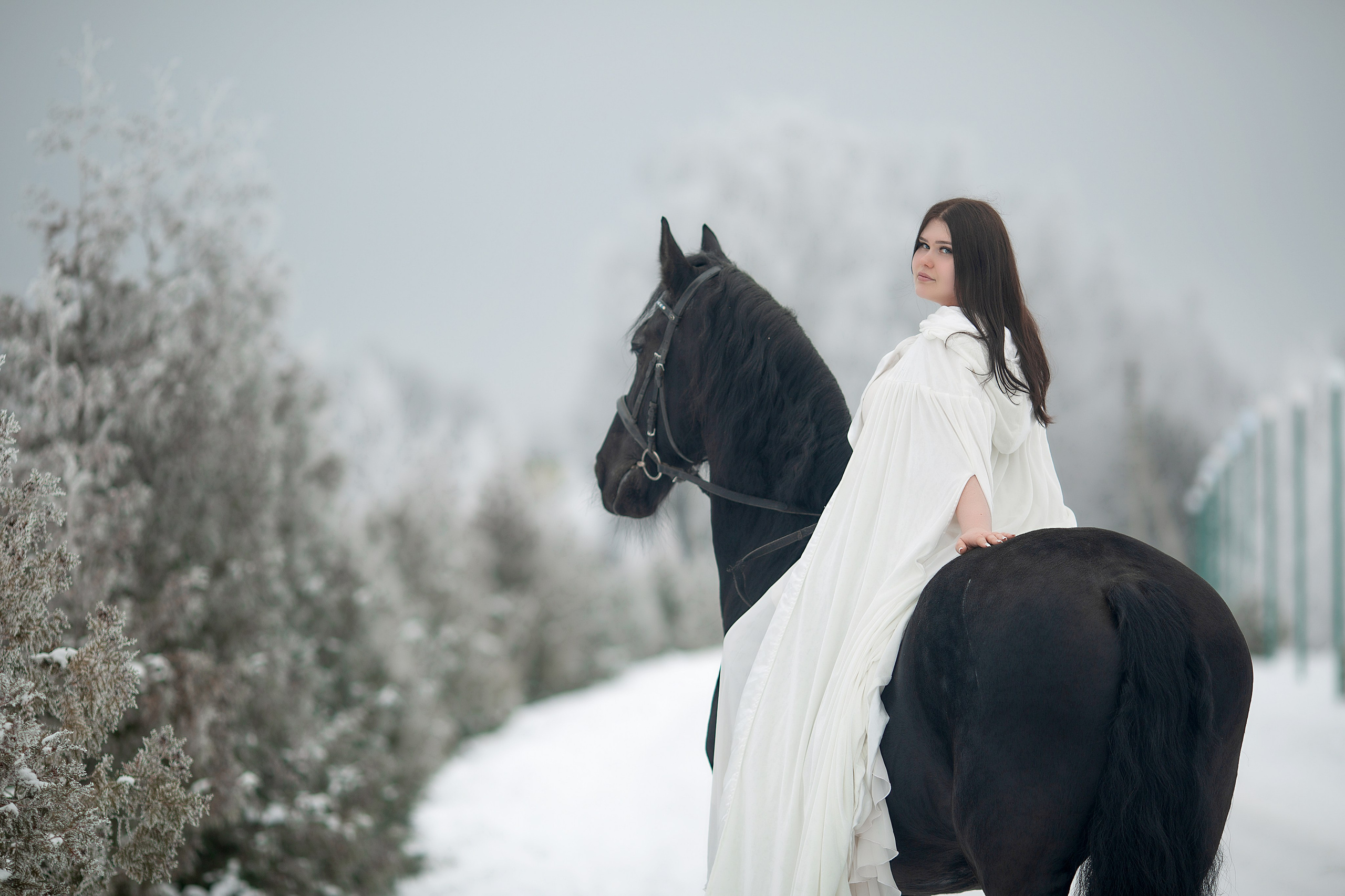 Мария и Ферзь. Фотосессия с лошадьми в Нижнем Новгороде