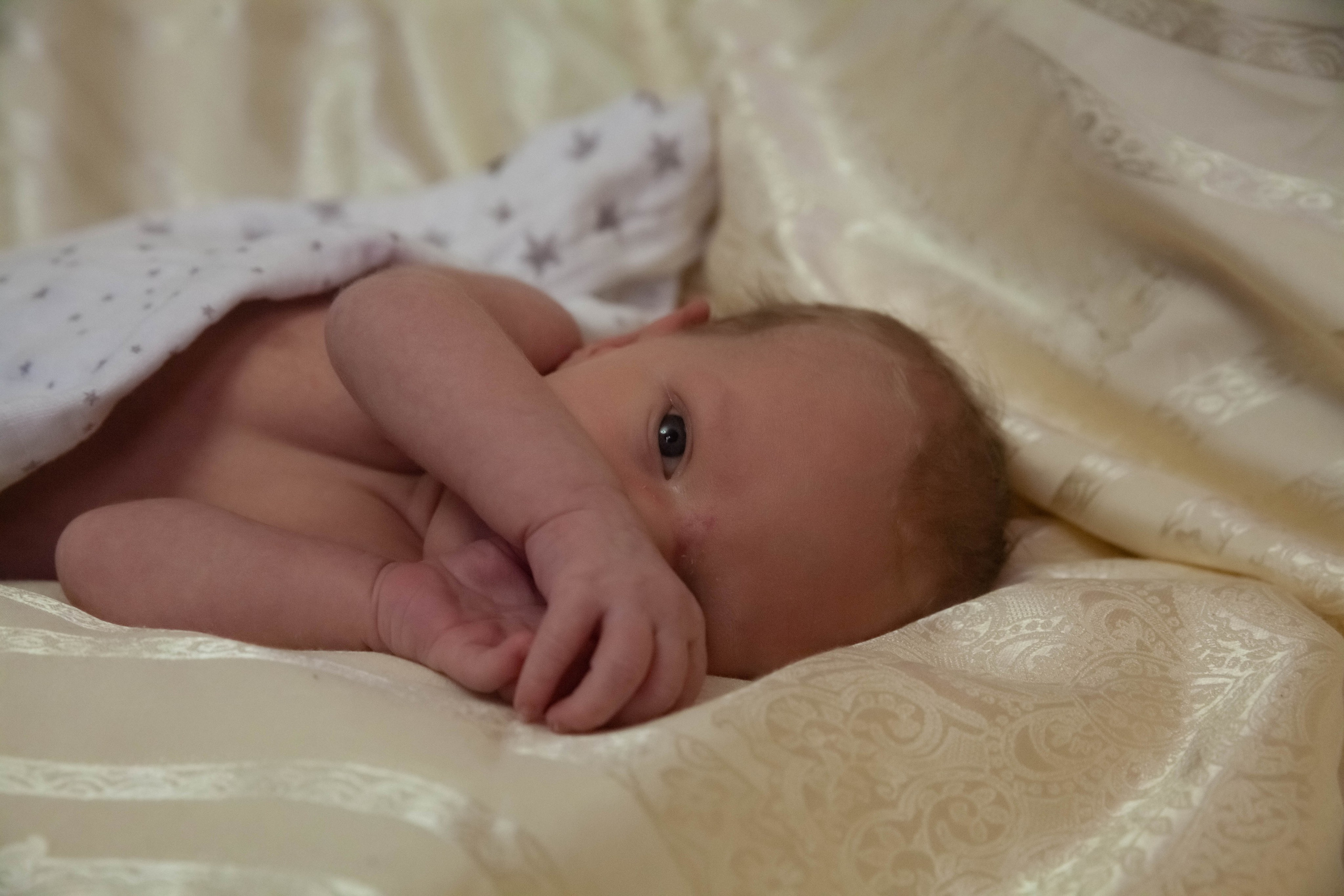 Домовенок. Лена Румянцева — репортажный, детский и семейный фотограф в Москве