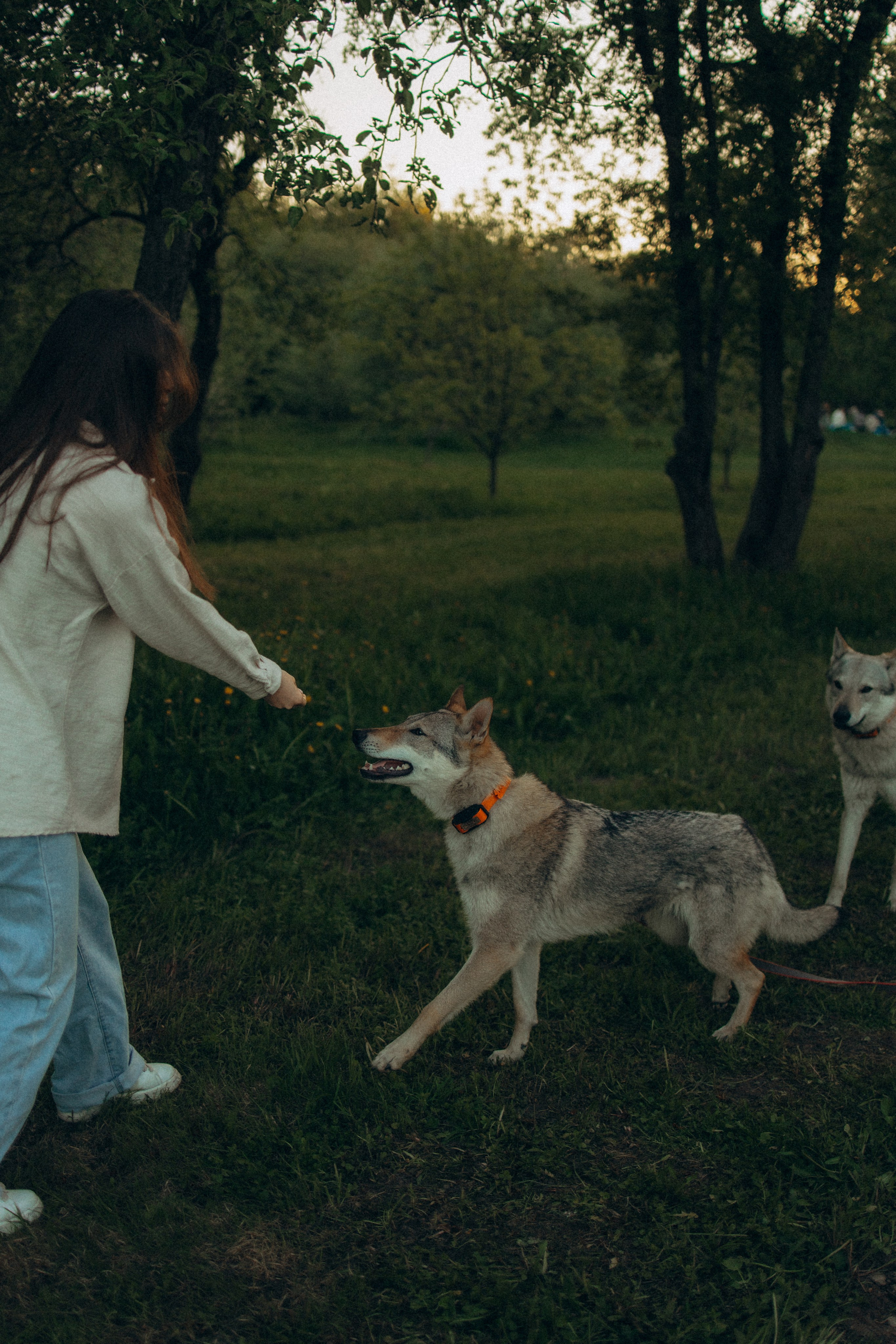 Аня и ее семья. Фотораф — анималист Мария Шистка