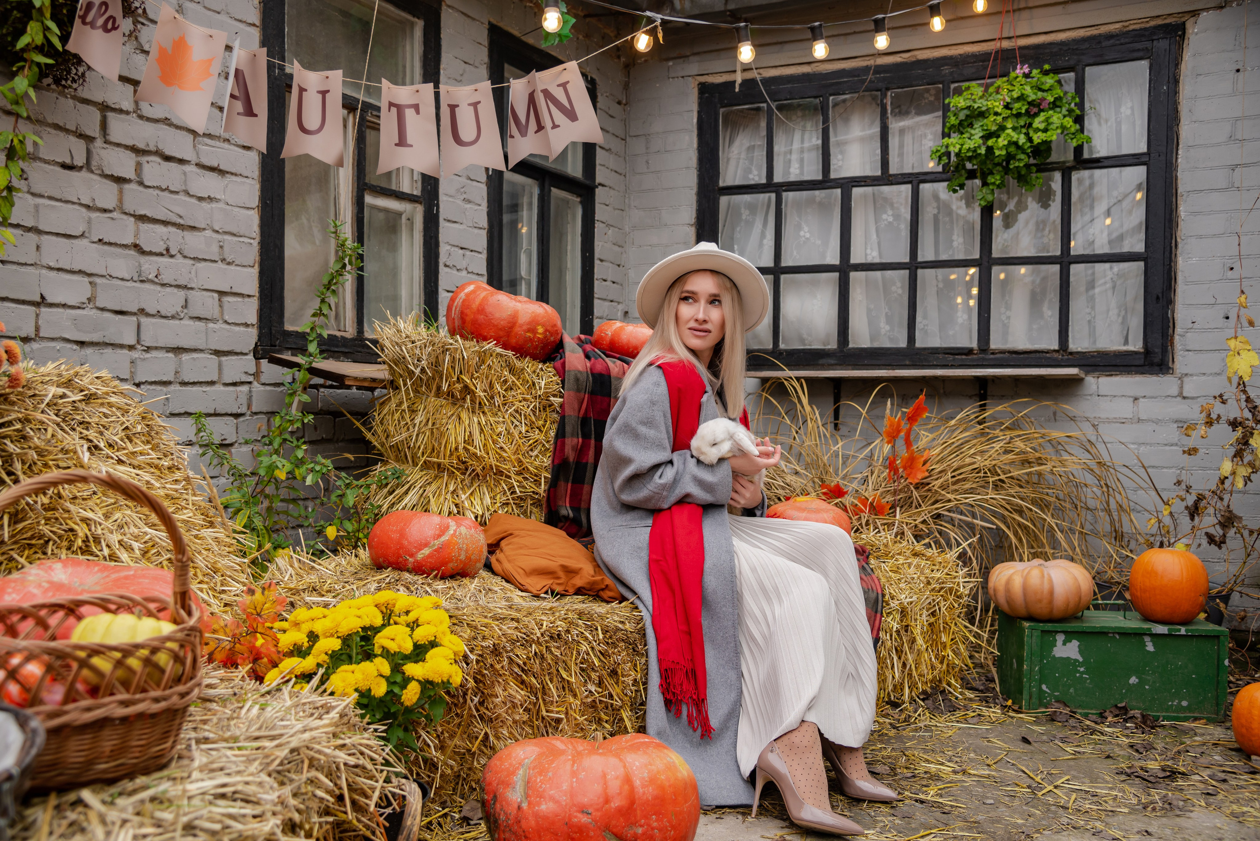 Авакадо. Фотограф Галина Нестерова