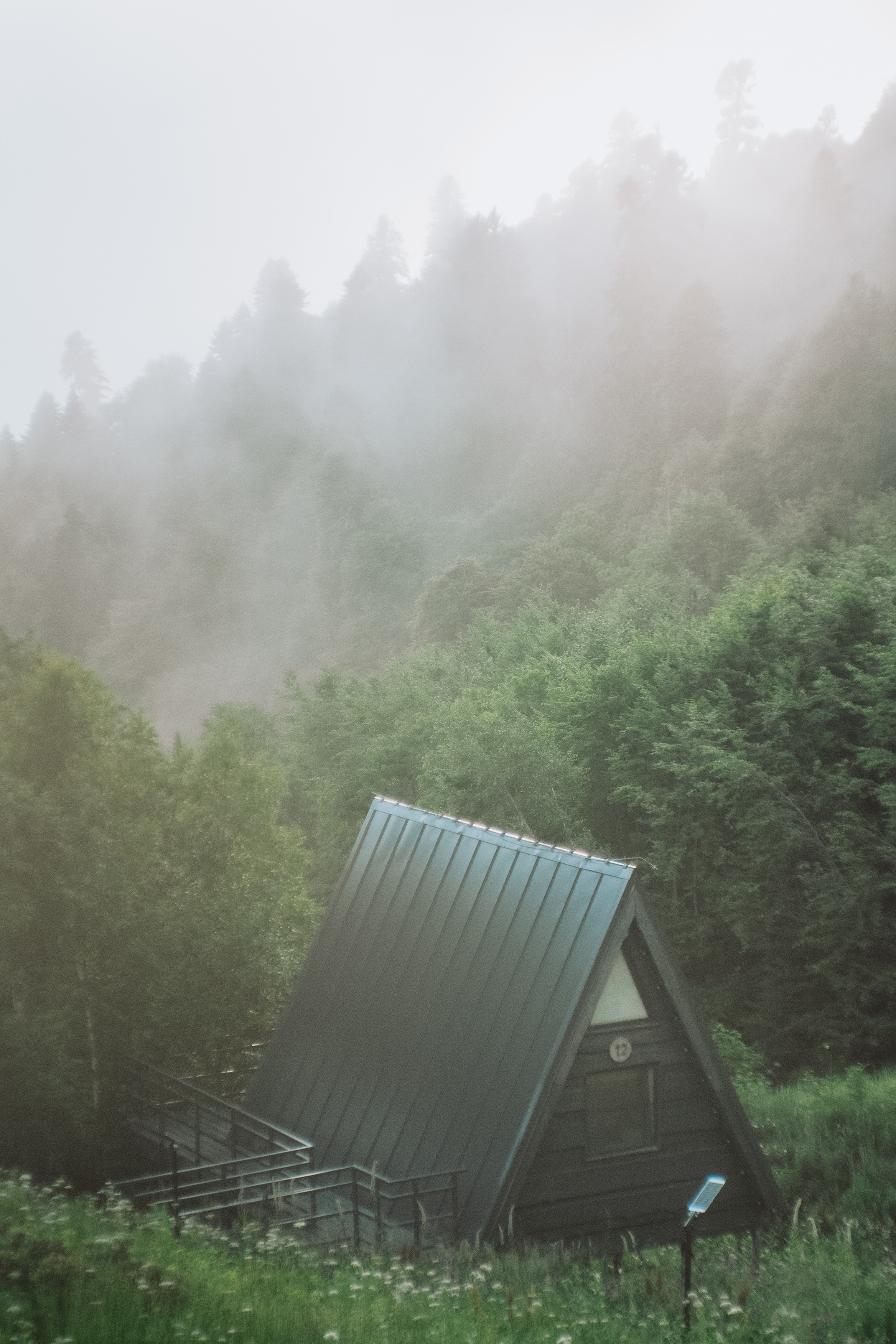 Нахазо ✽ Июль. Репортажный фотограф | Роза Хутор Красная Поляна Сочи Сириус