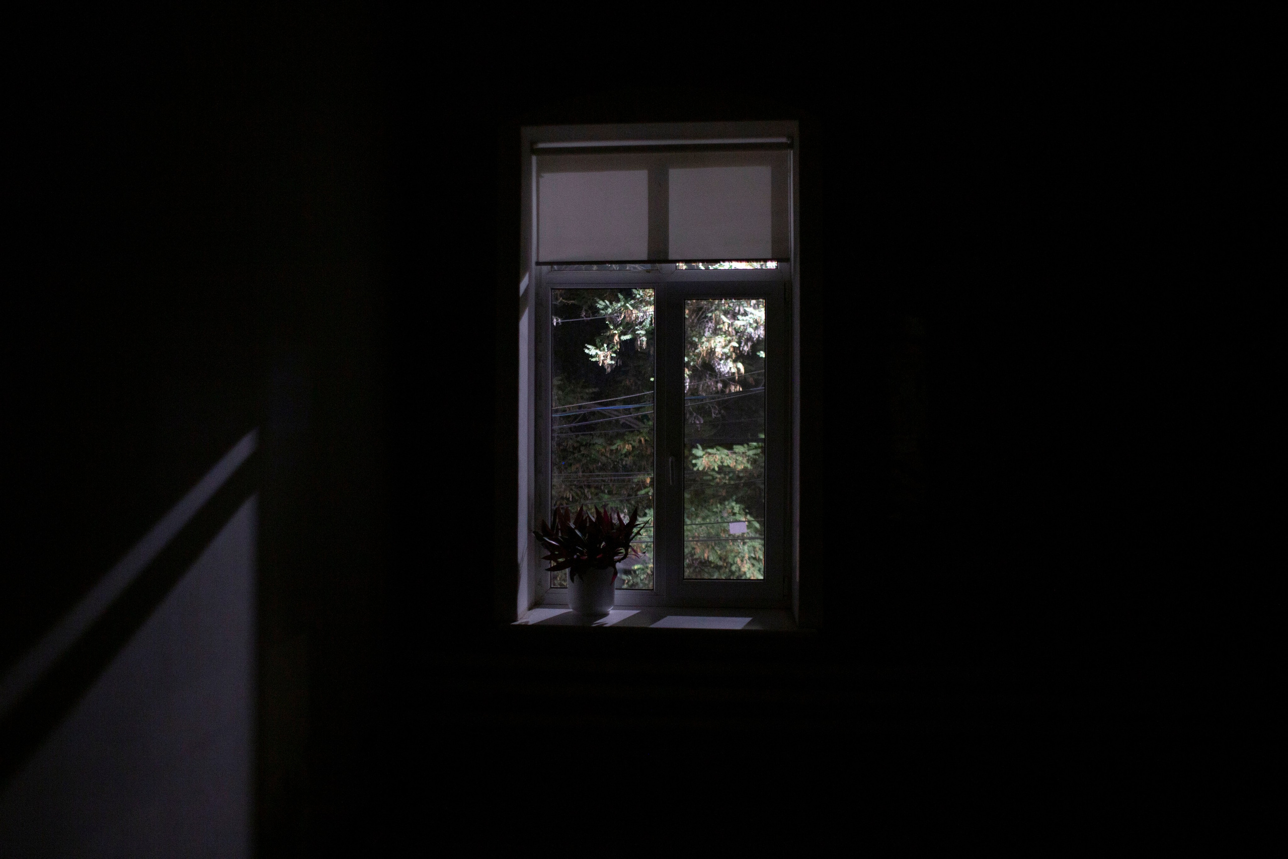 Street. Фотограф, в Ростове-на-дону