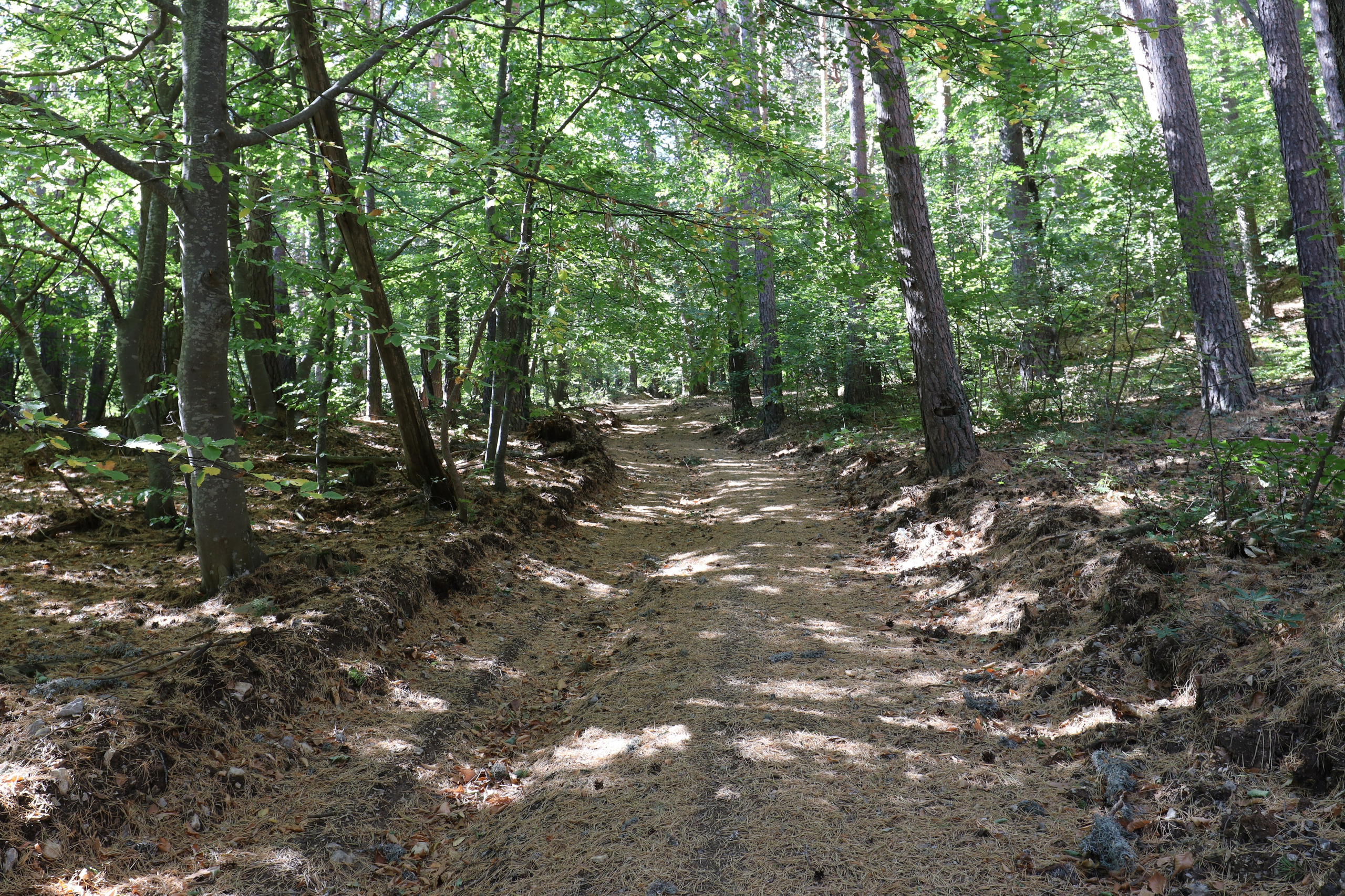 Крым. ЮБК (Фиолент, Ай-Петри, Роман-Кош). Знакомство. Октябрь 2017. Путешественник-фотограф из Санкт-Петербурга Татьяна Свистулина