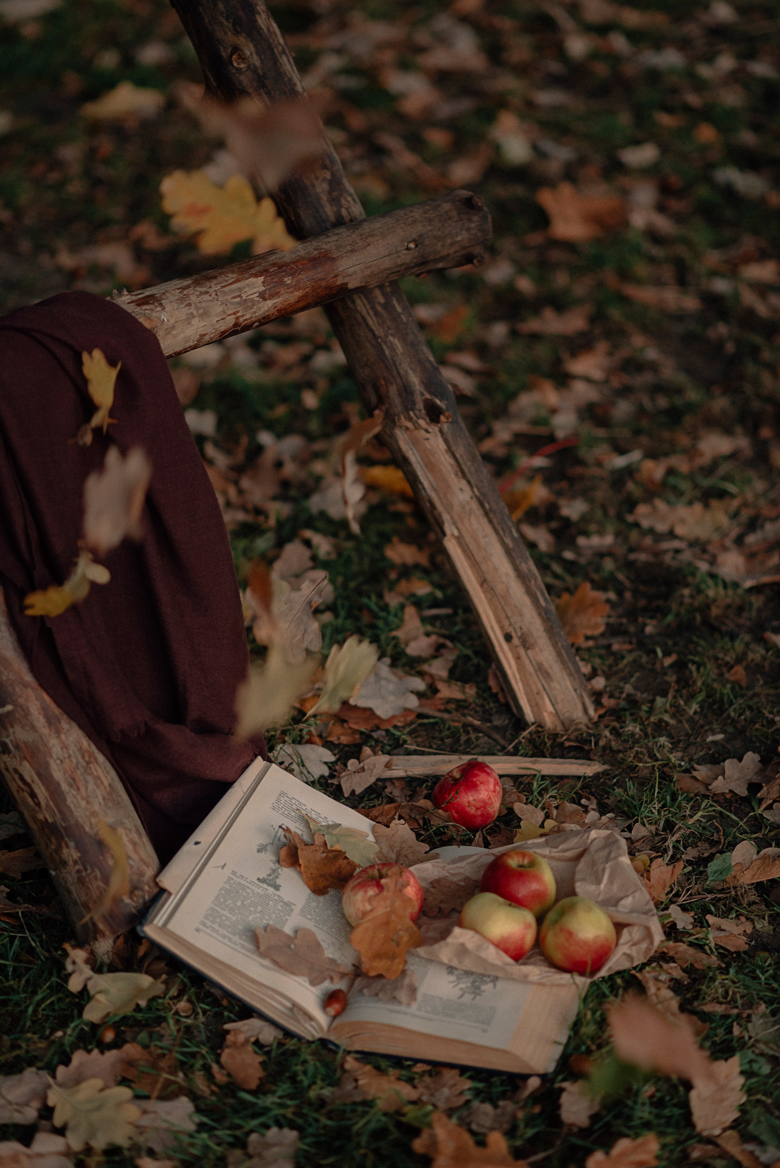 В тени дуба. Юля Дэй • Фотограф, Санкт-Петербург