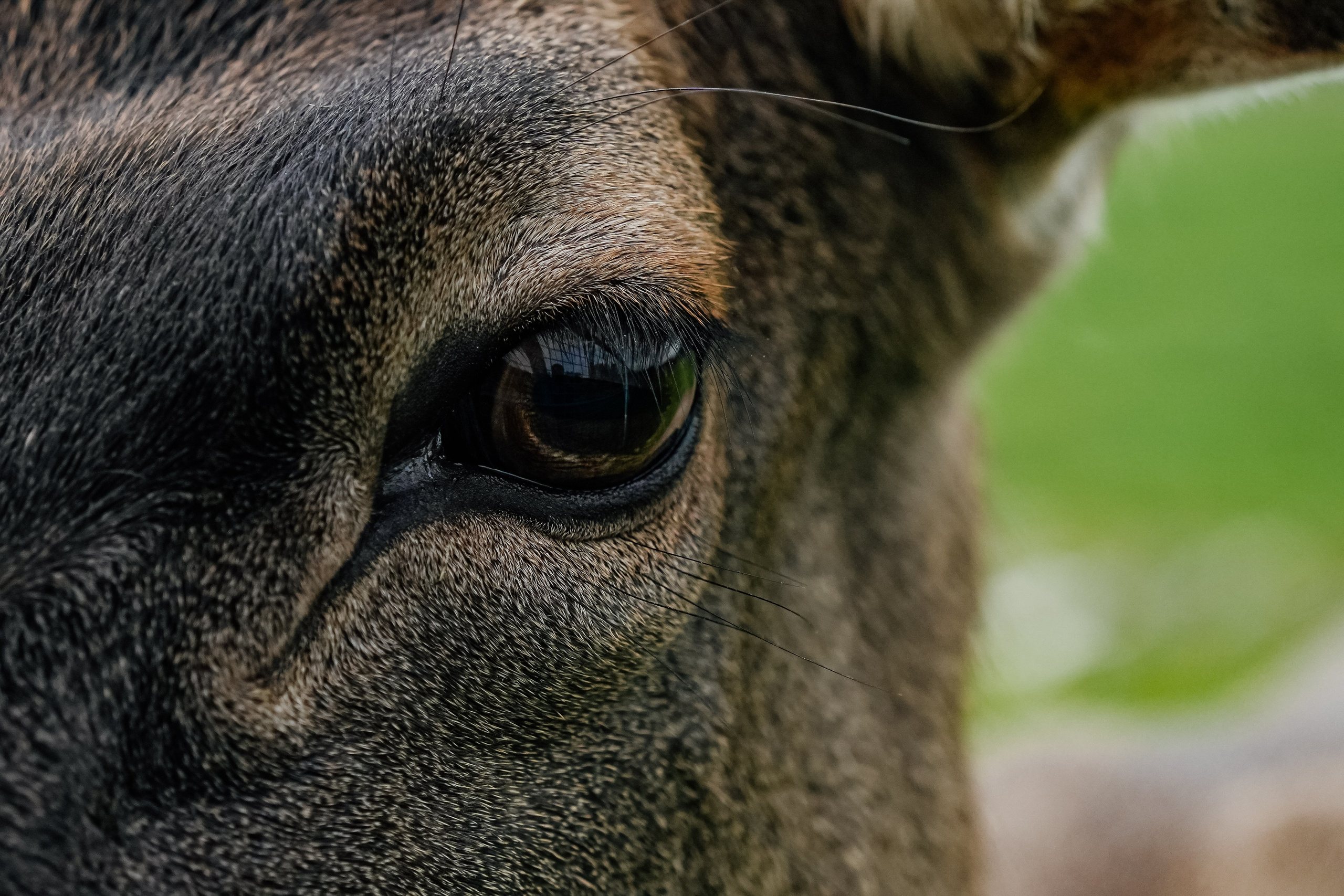 СЕВЕР. Event фотограф Степанова Александра