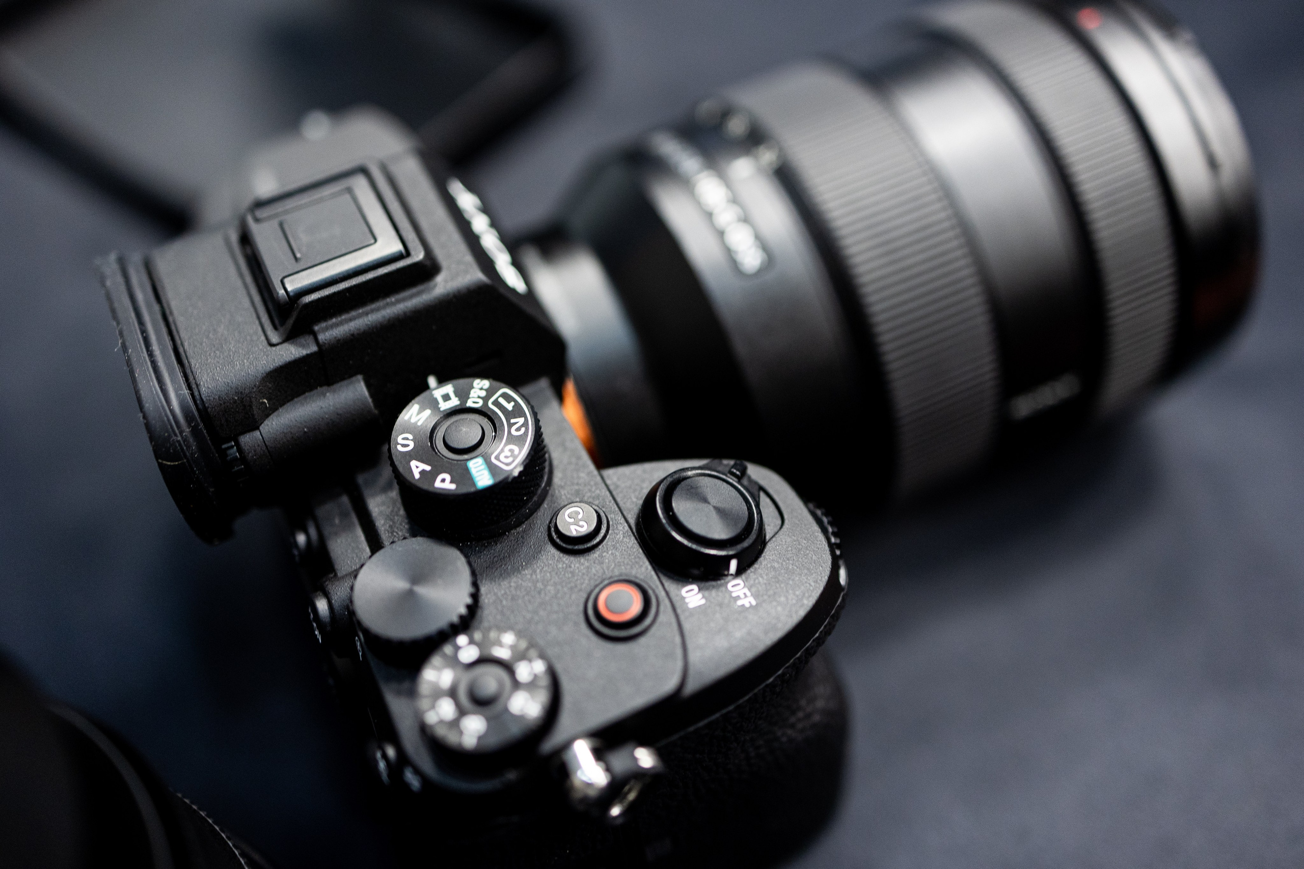 Таран Фотопарк Конференция. Самый свадебный фотограф