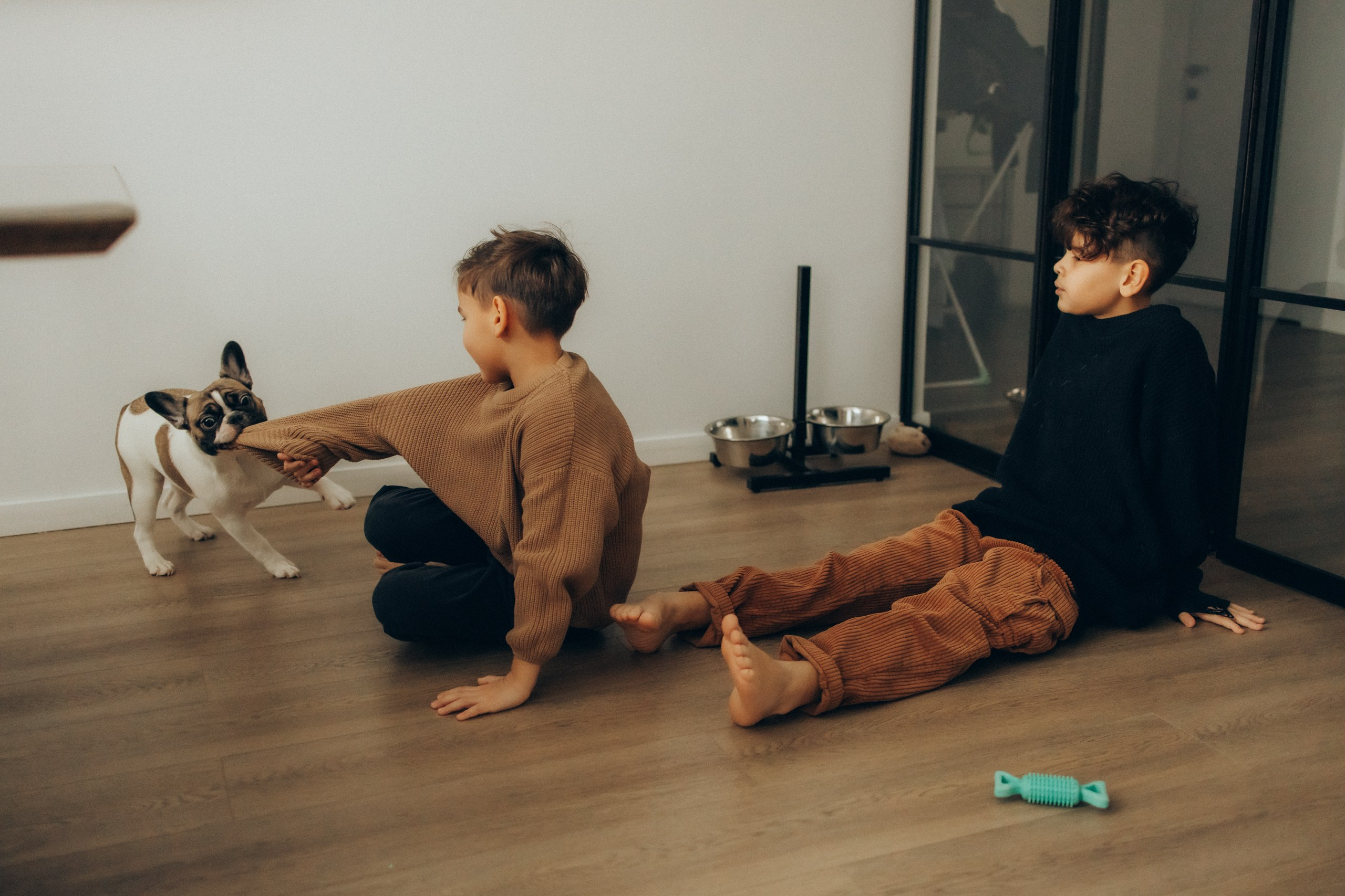 Руслан, Тимур и Луна. Семейный фотограф Москва