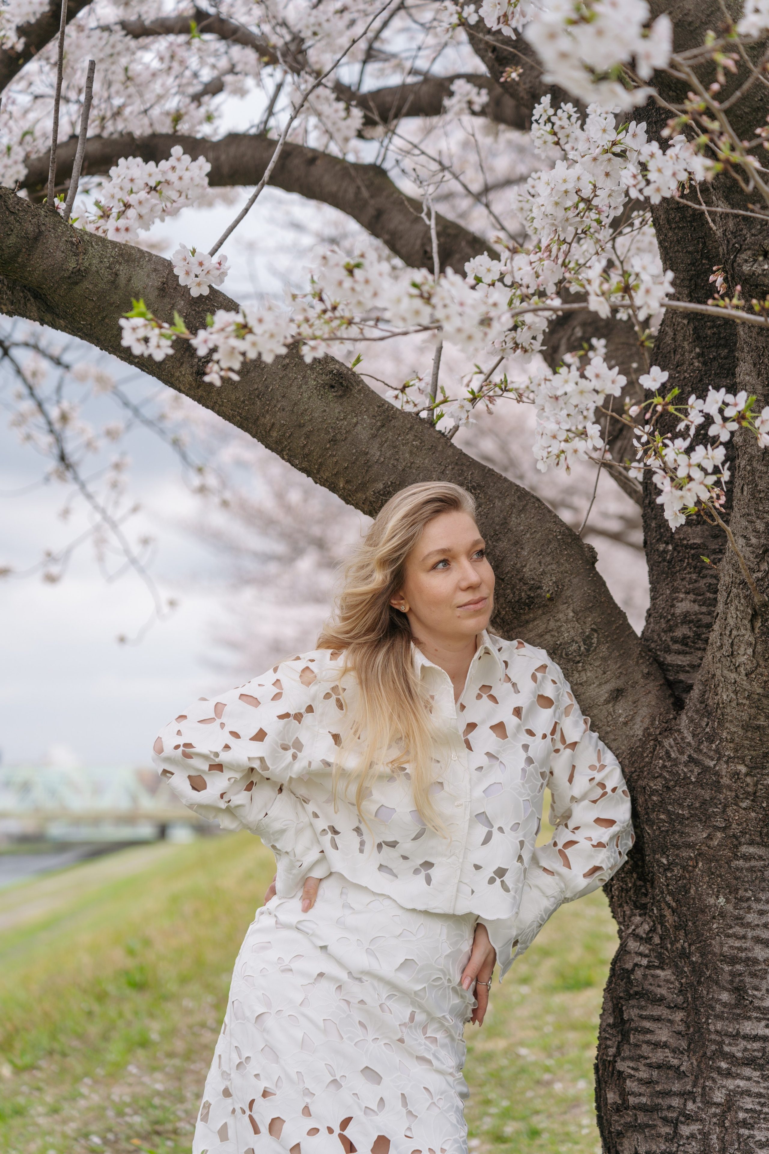 Sakura. Фотограф Алина Диева Москва | Токио