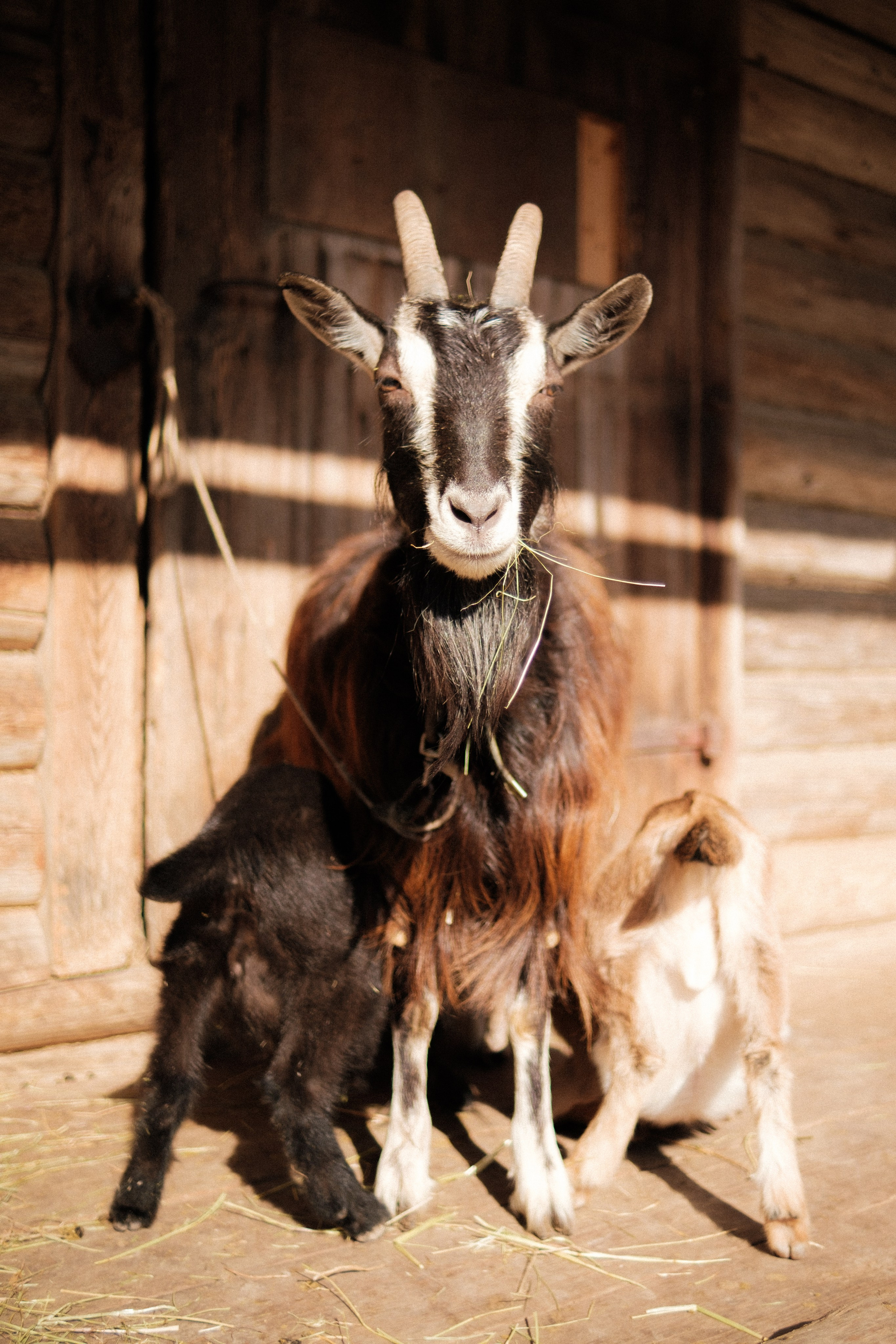 Под плёнку. Михаил Долганов