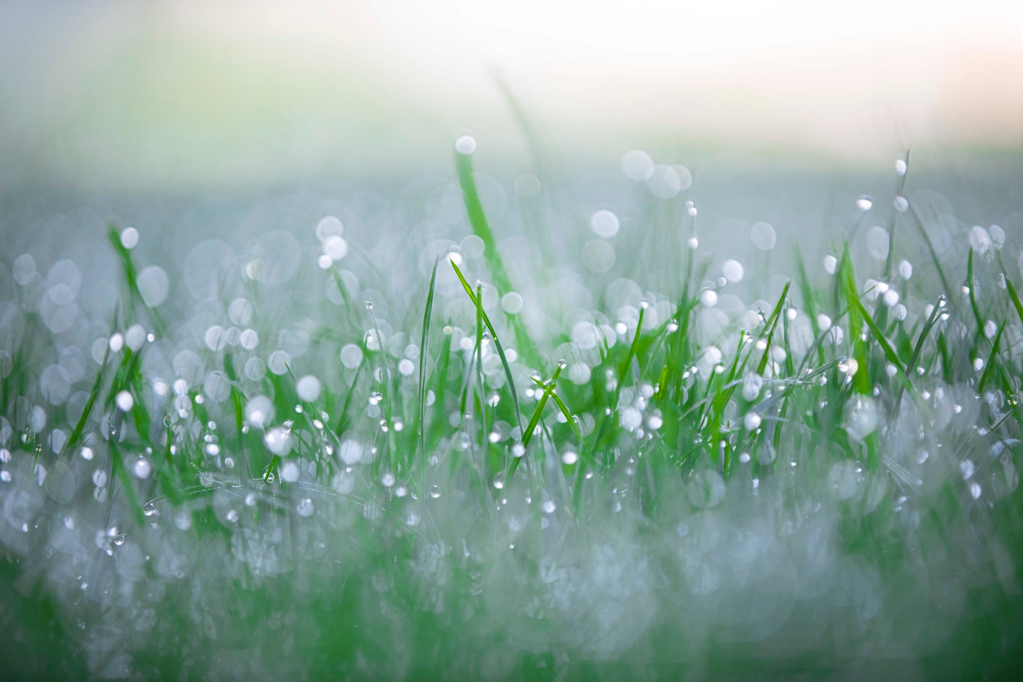 Фото о жизни