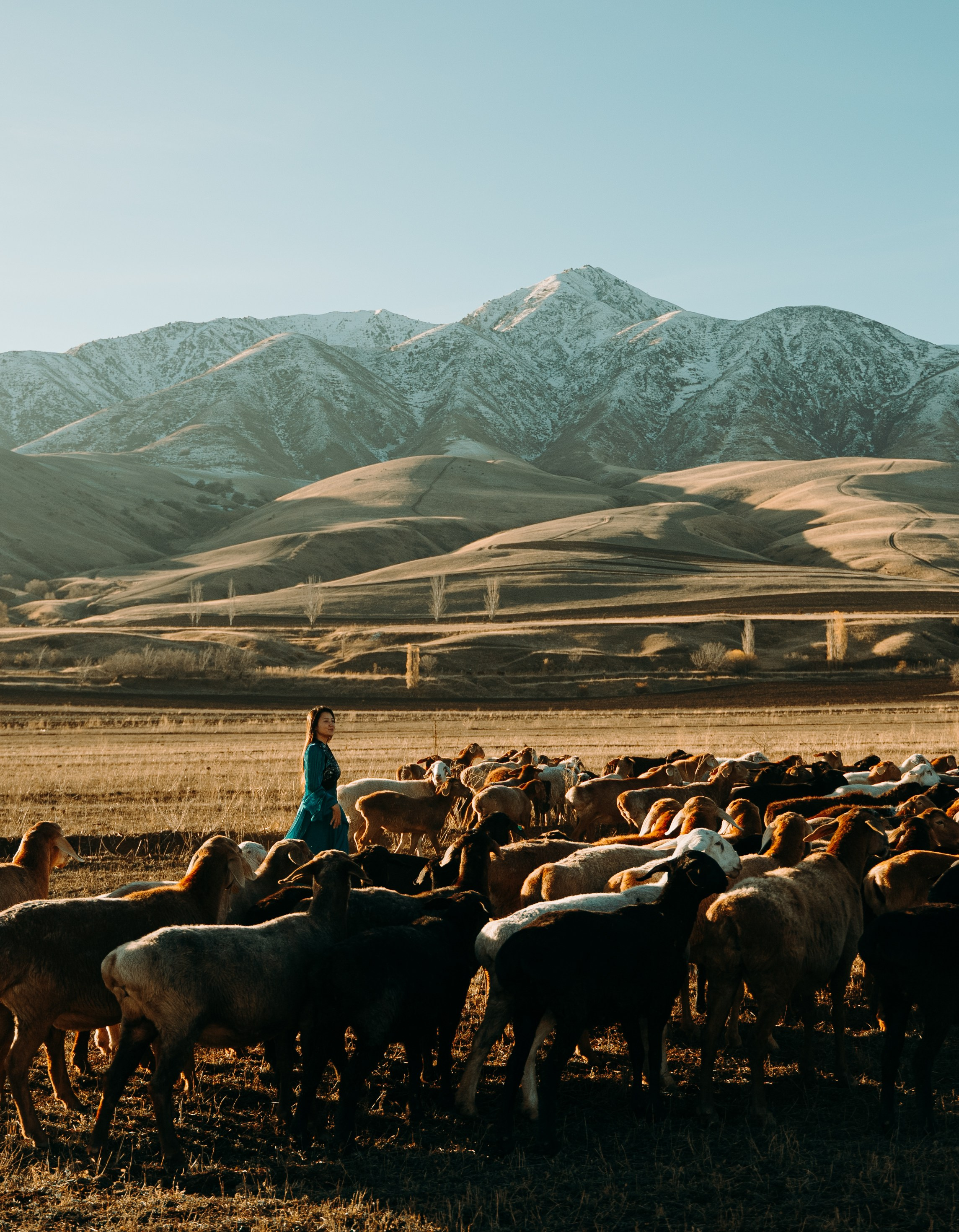 Фотограф и видеограф Москва