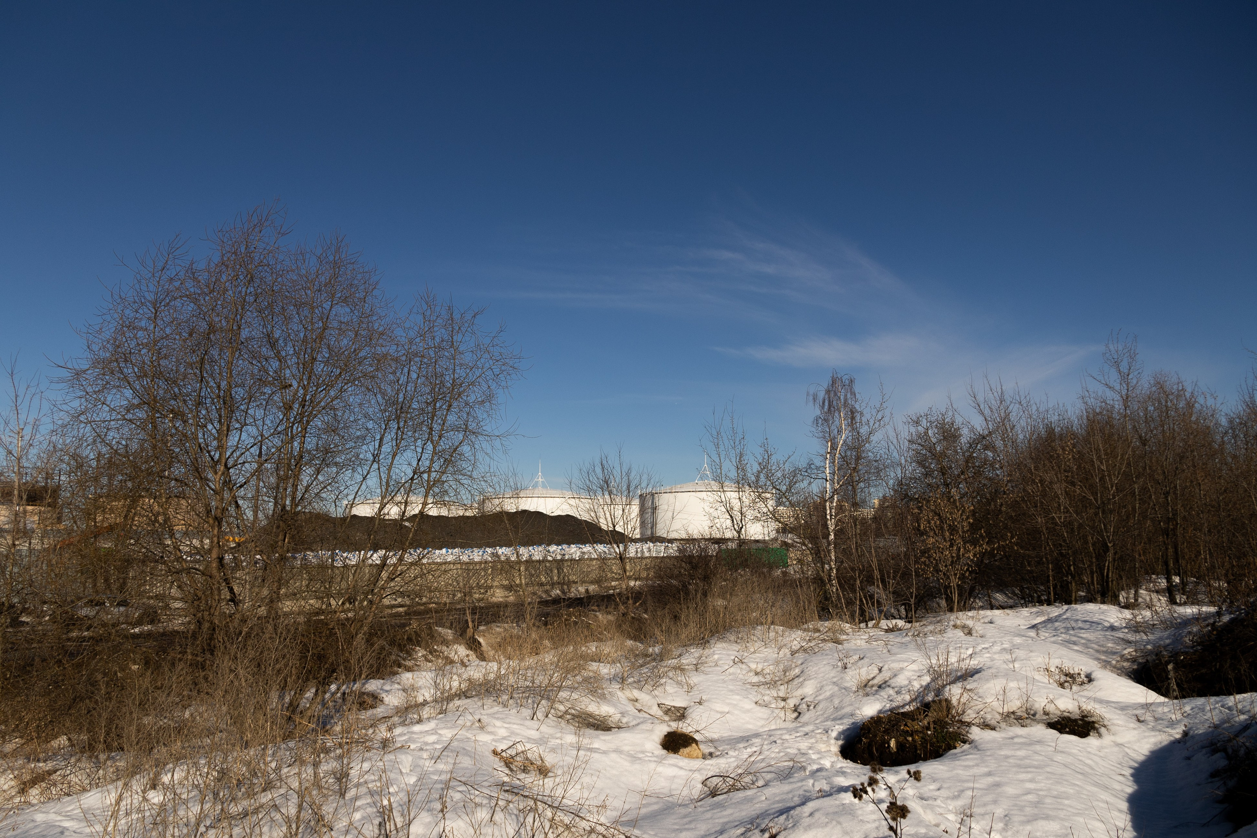 Я здесь живу. DASHA KALNINA