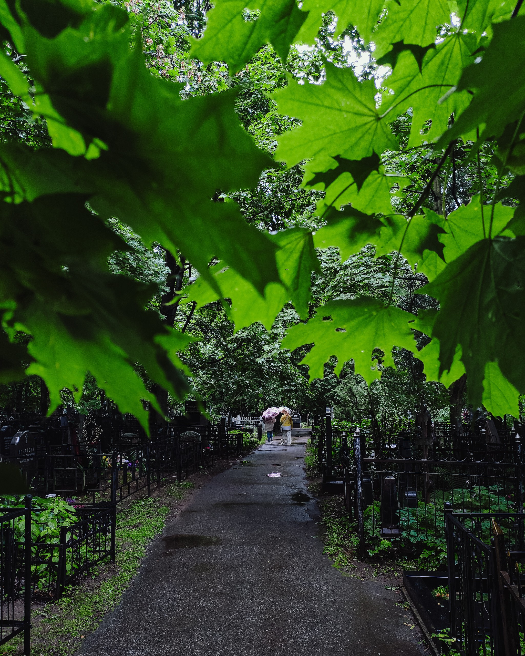 Мир повседневных Вещей. Репортажный и портретный фотограф, Влад Хафизов, Москва