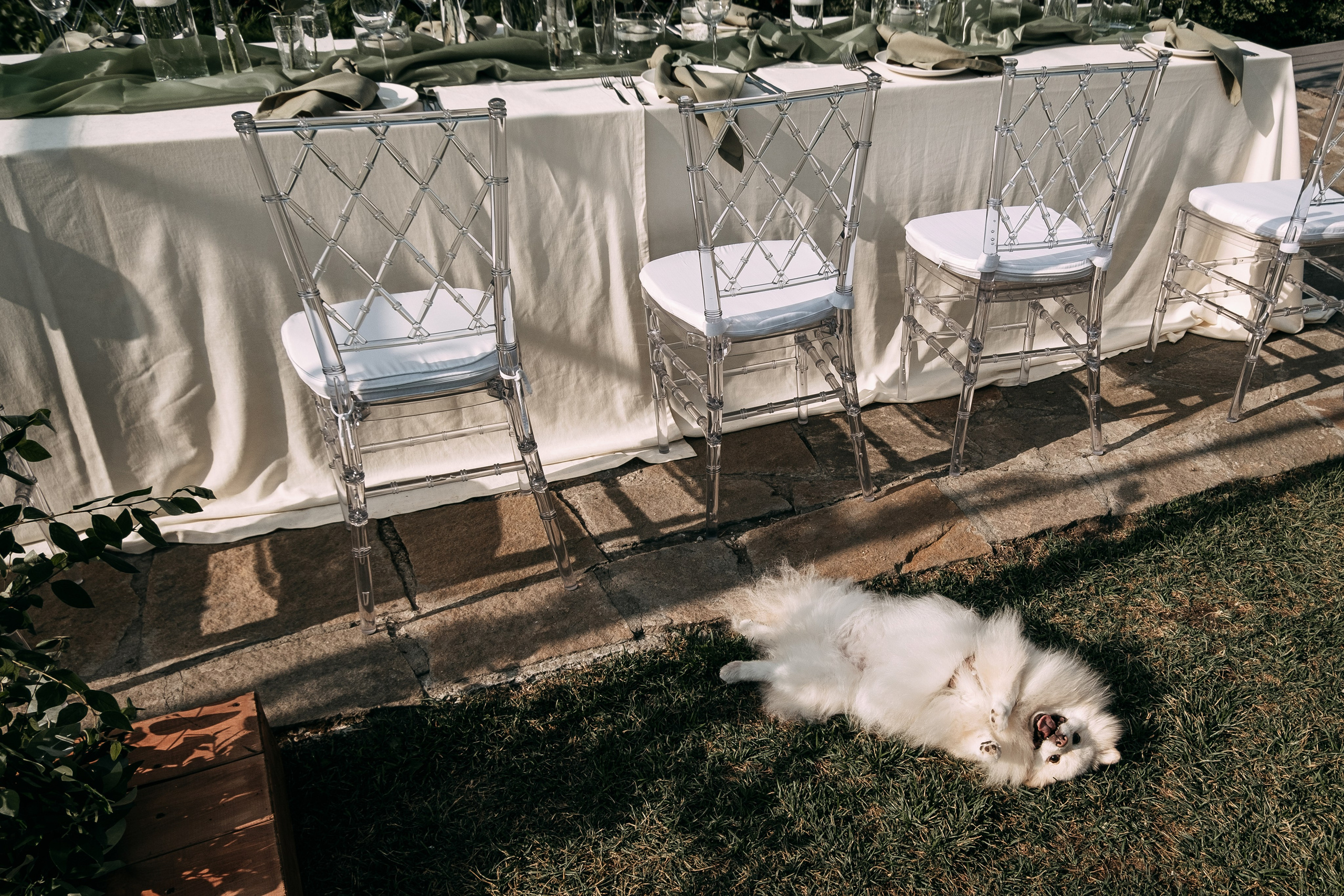 Mihail i Tatyana. Event агентство PAPRIKA в Екатеринбурге