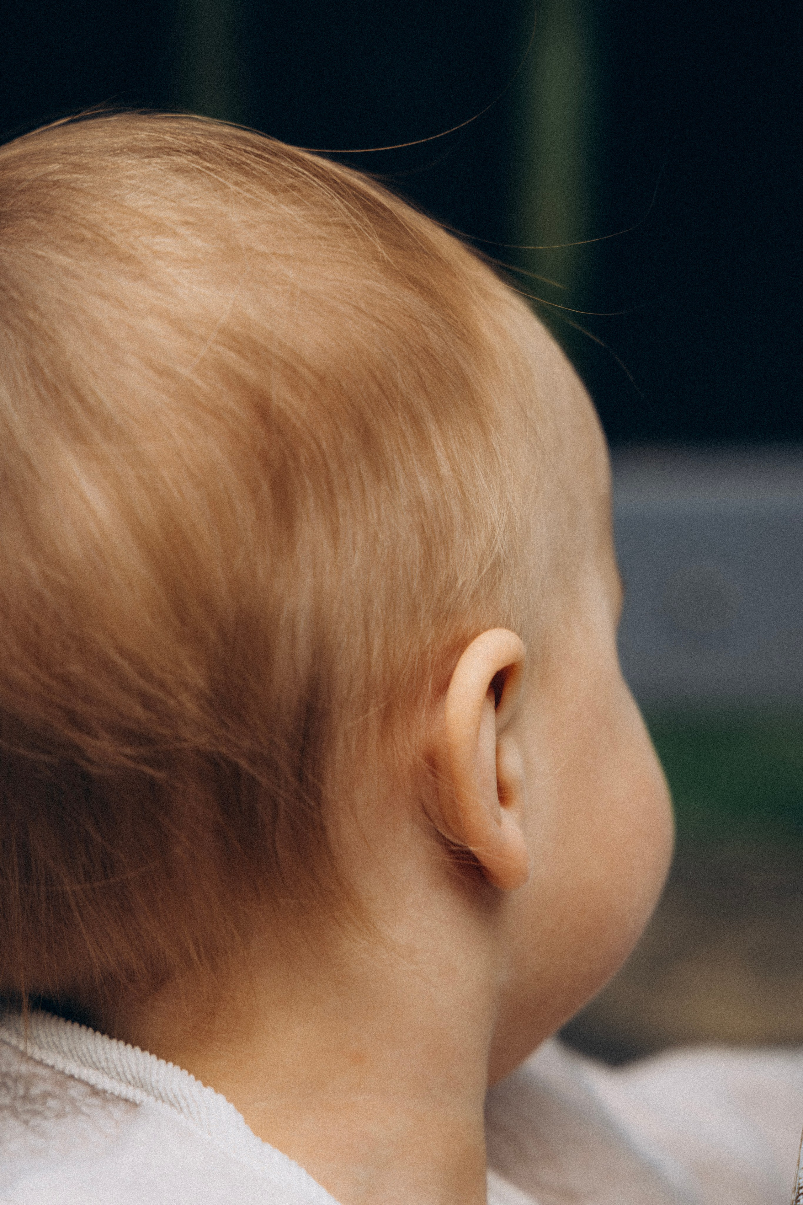 Даша и Алиса. Семейный фотограф в Красноярске Екатерина Гайнутдинова