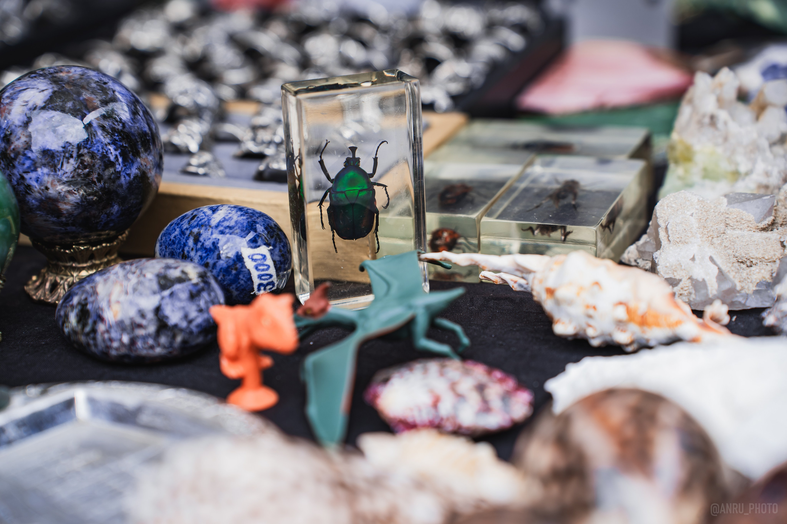 Выставка, гости на Nord fest. Репортажный фотограф Анастасия Рубцова