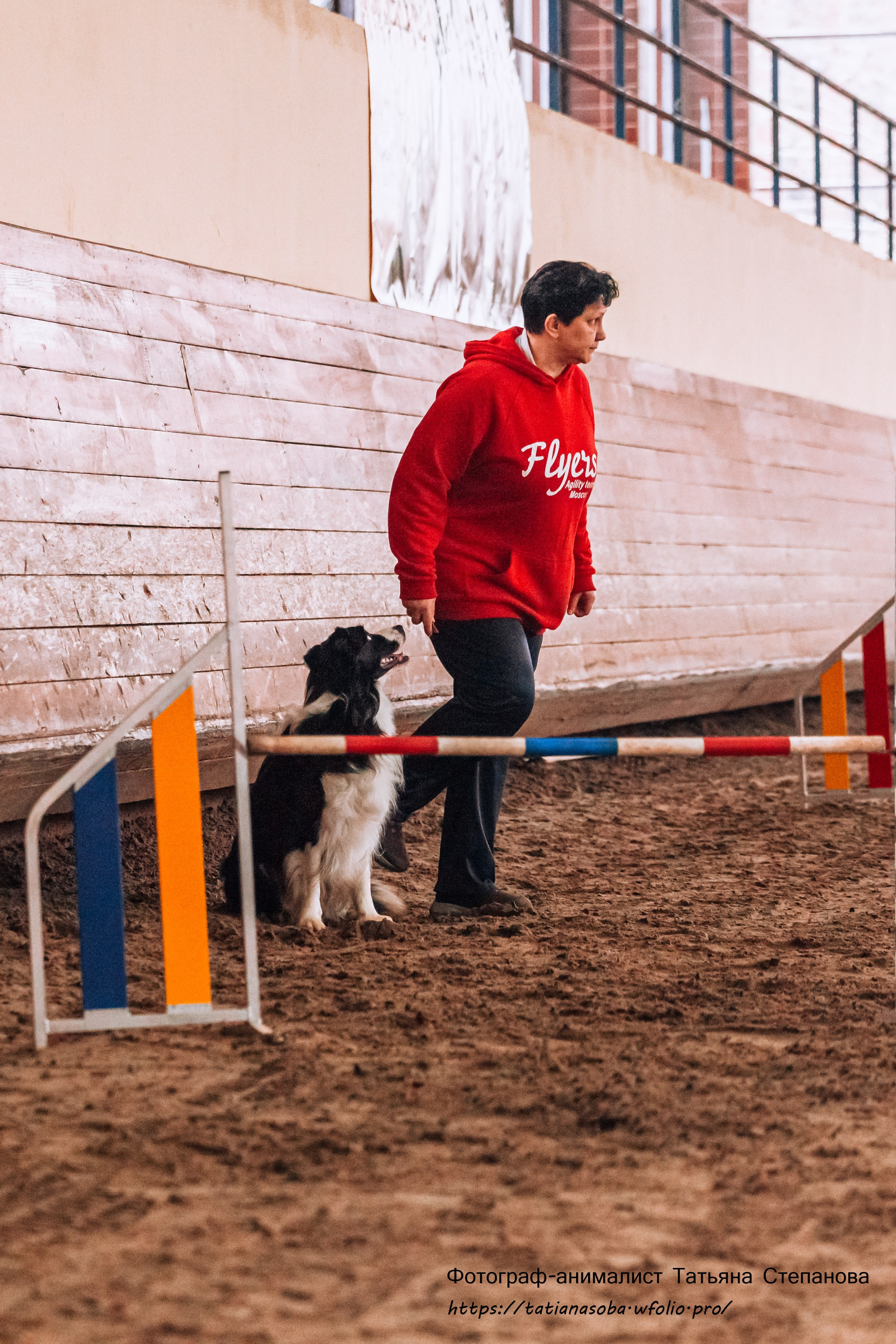 Соревнования по Аджилити 25.02.2024. Фотограф-анималист Татьяна Степанова