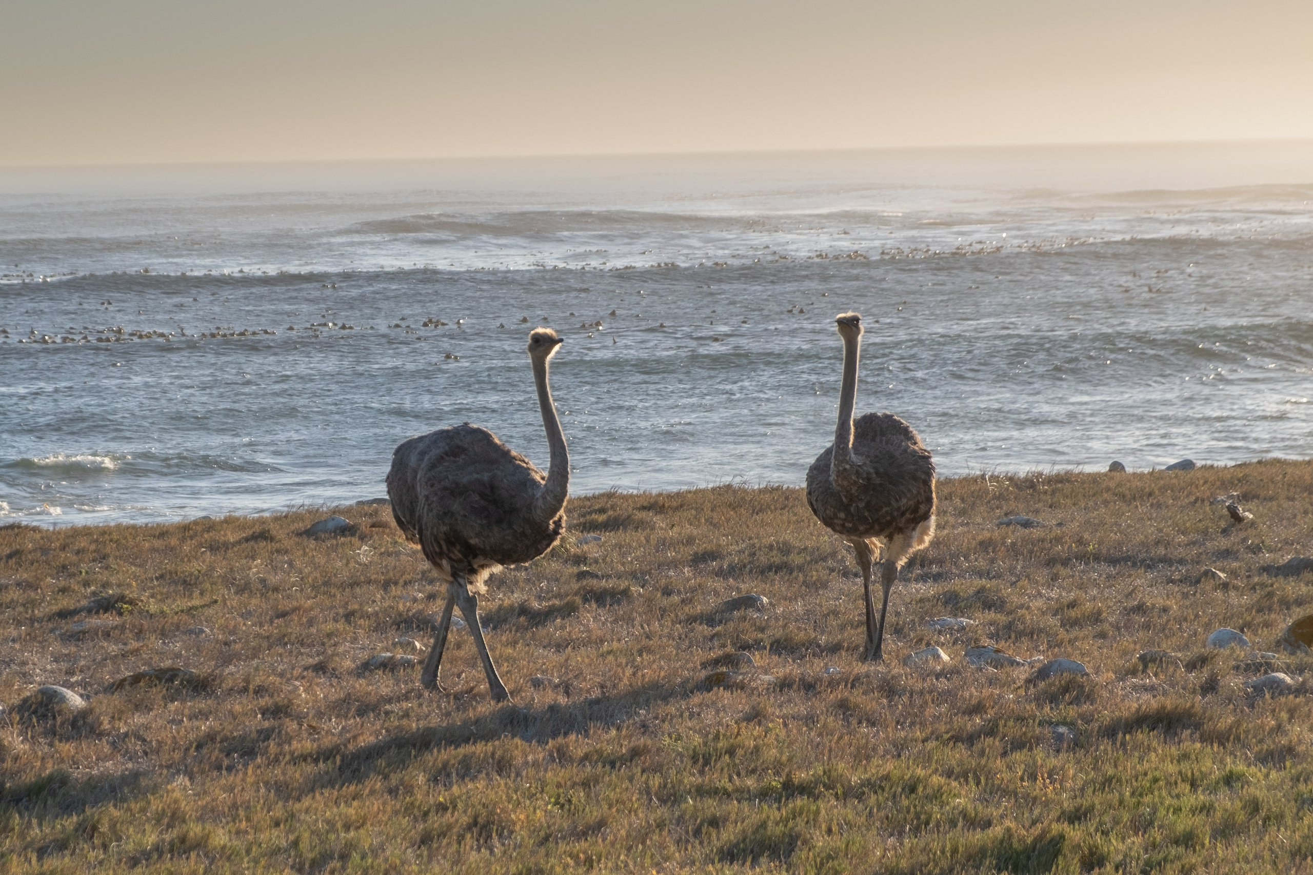 Мыс надежды. Фотографии из путешествий