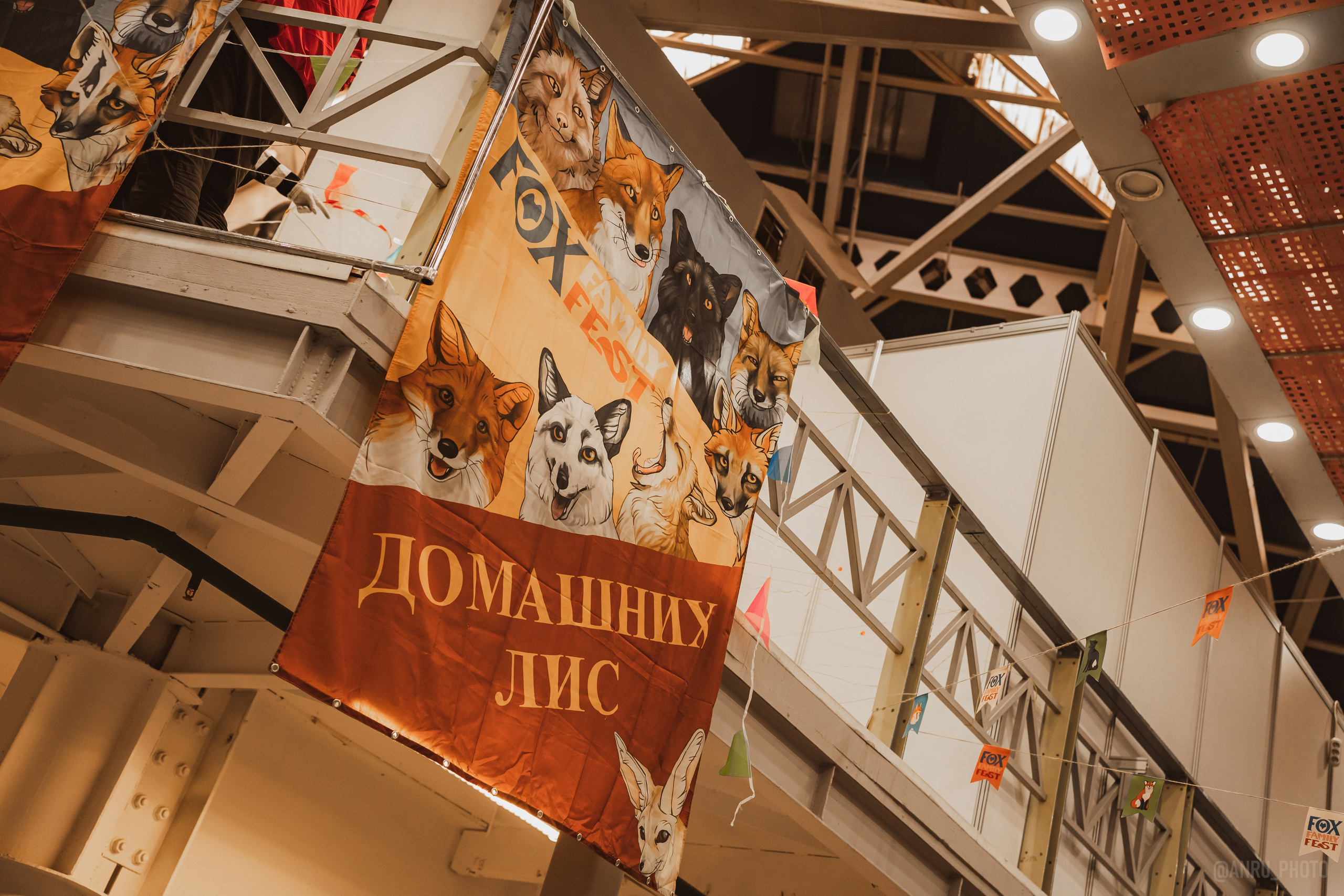 Fox Family fest. Репортажный фотограф Анастасия Рубцова