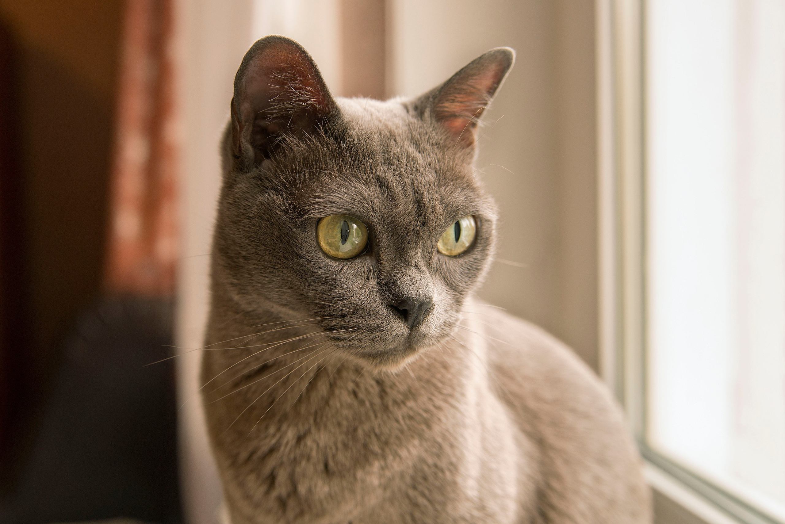 Семейные фотосессии. Фотограф в Москве Аня Цыплакова