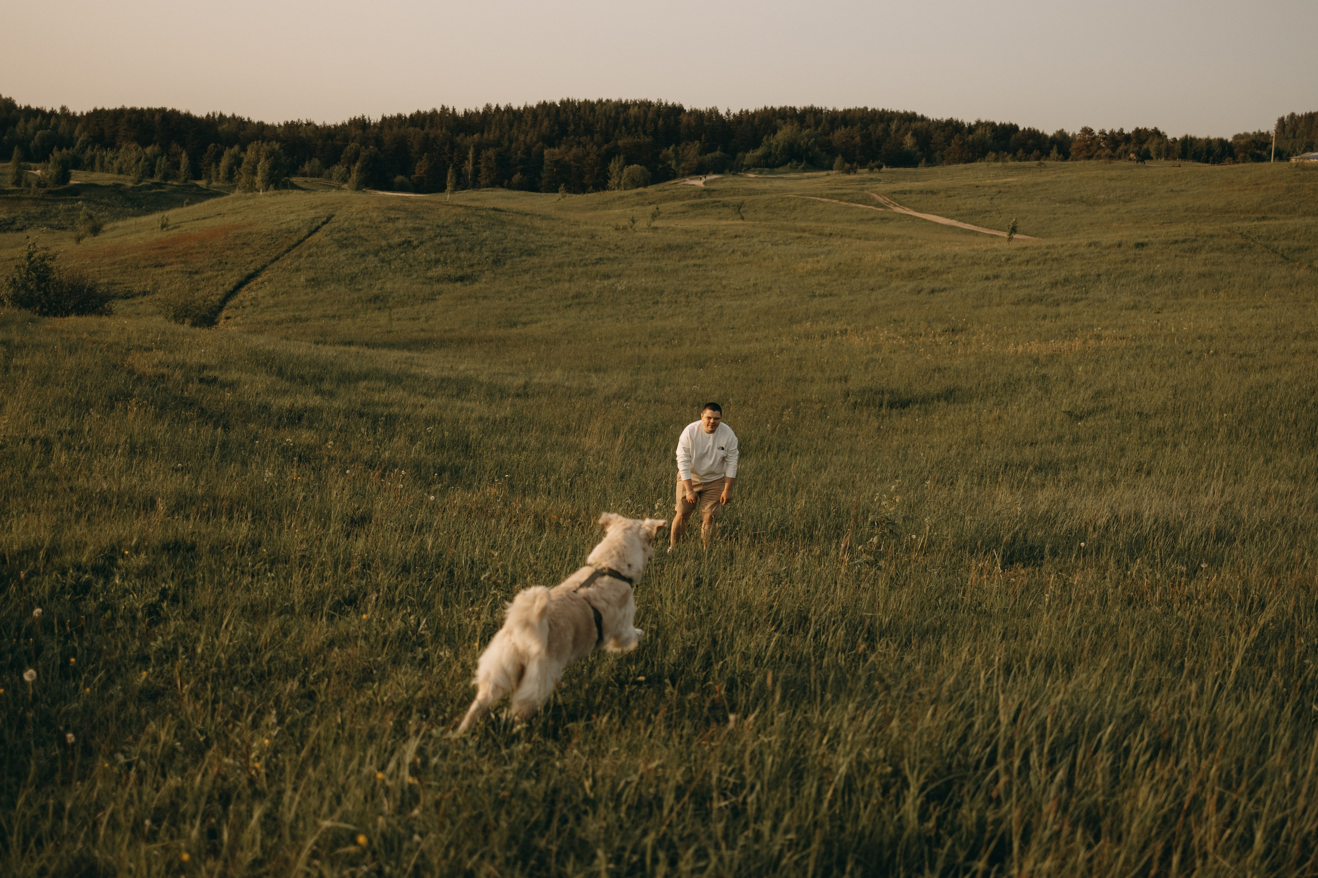 Милка и ребята. Фотограф — Анималист | Санкт-Петербург