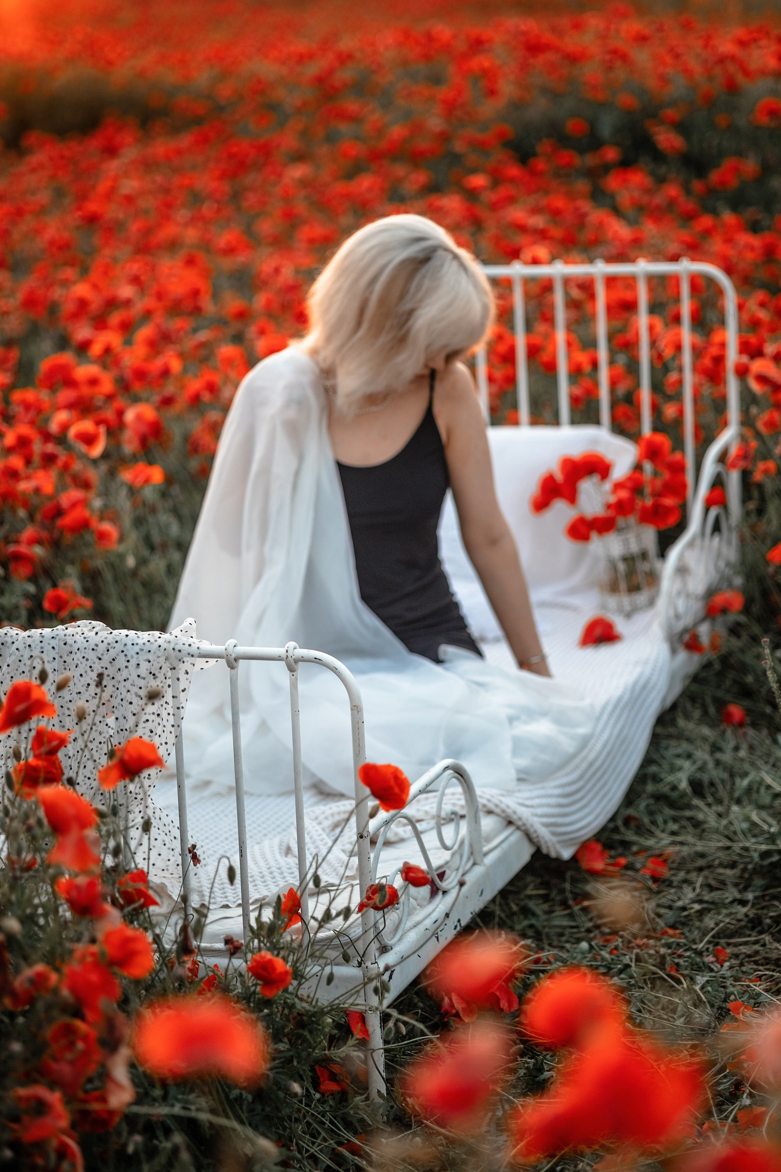 Яркие маки. Художественный фотограф Анапа Александра Долбикова