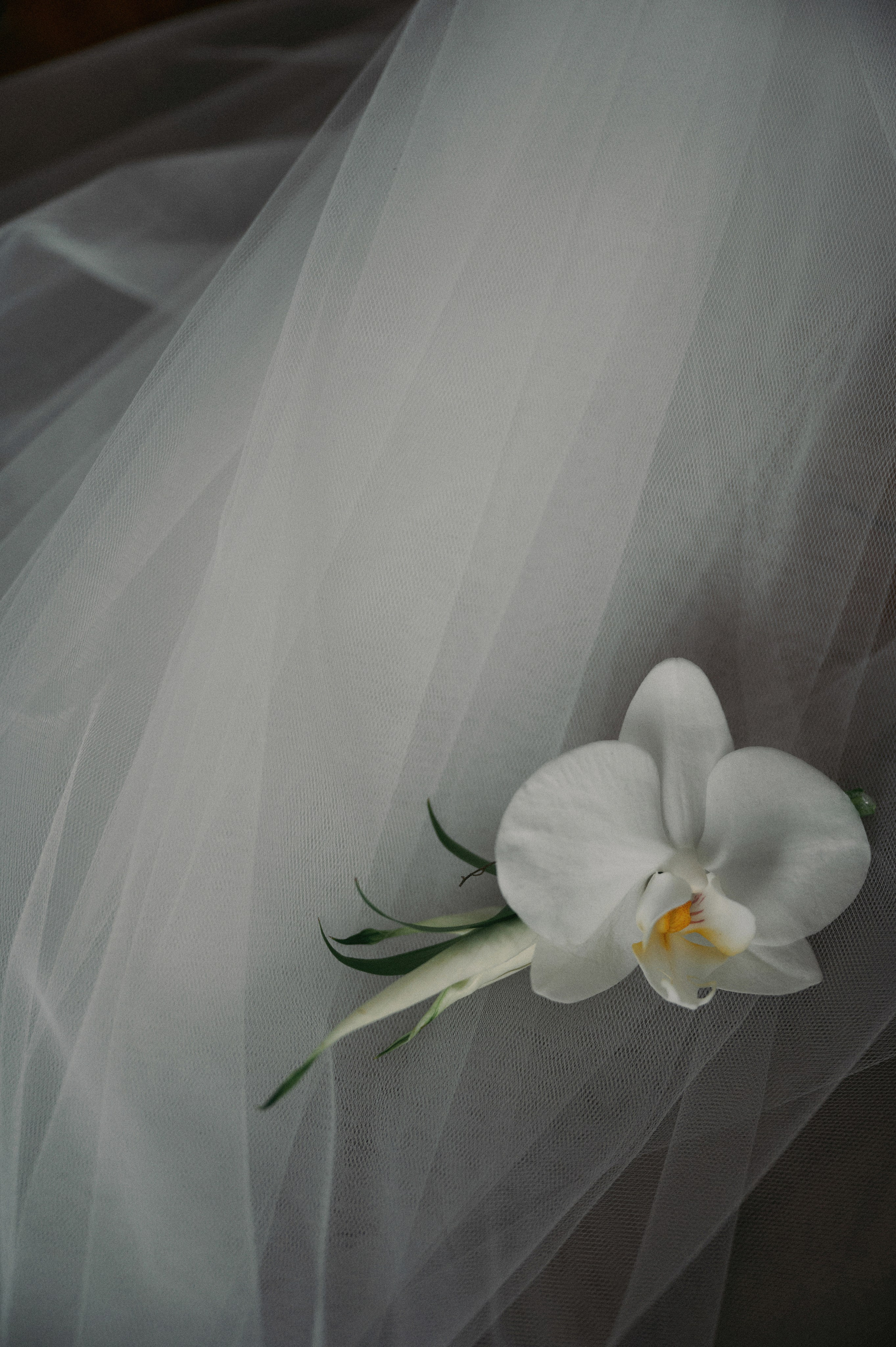 Люби меня люби. Свадебный фотограф в Ростовe-на-Дону Анастасия Прутова