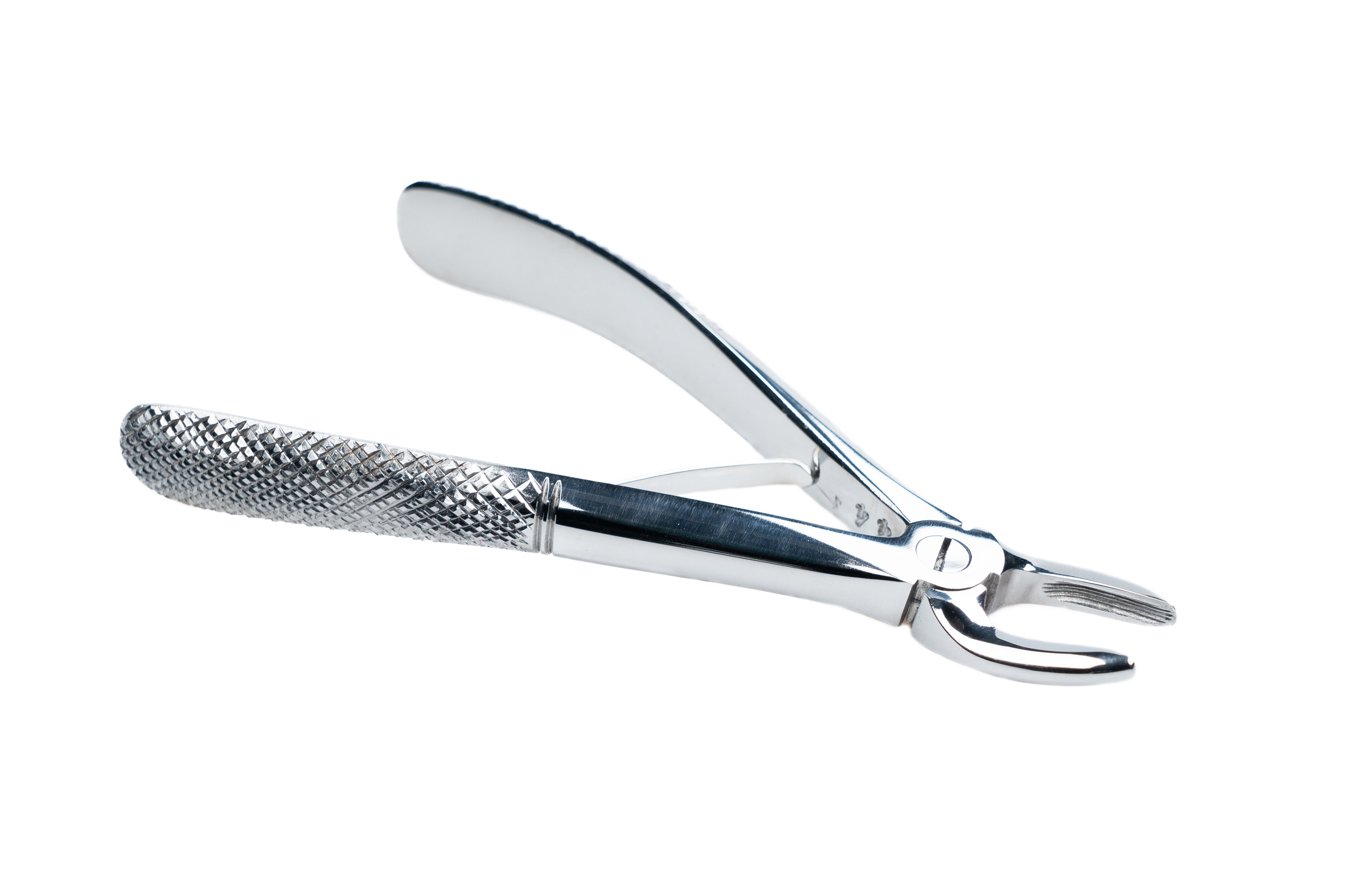 GLOBAL.VET. Репортажный фотограф в Москве Илья Закурин