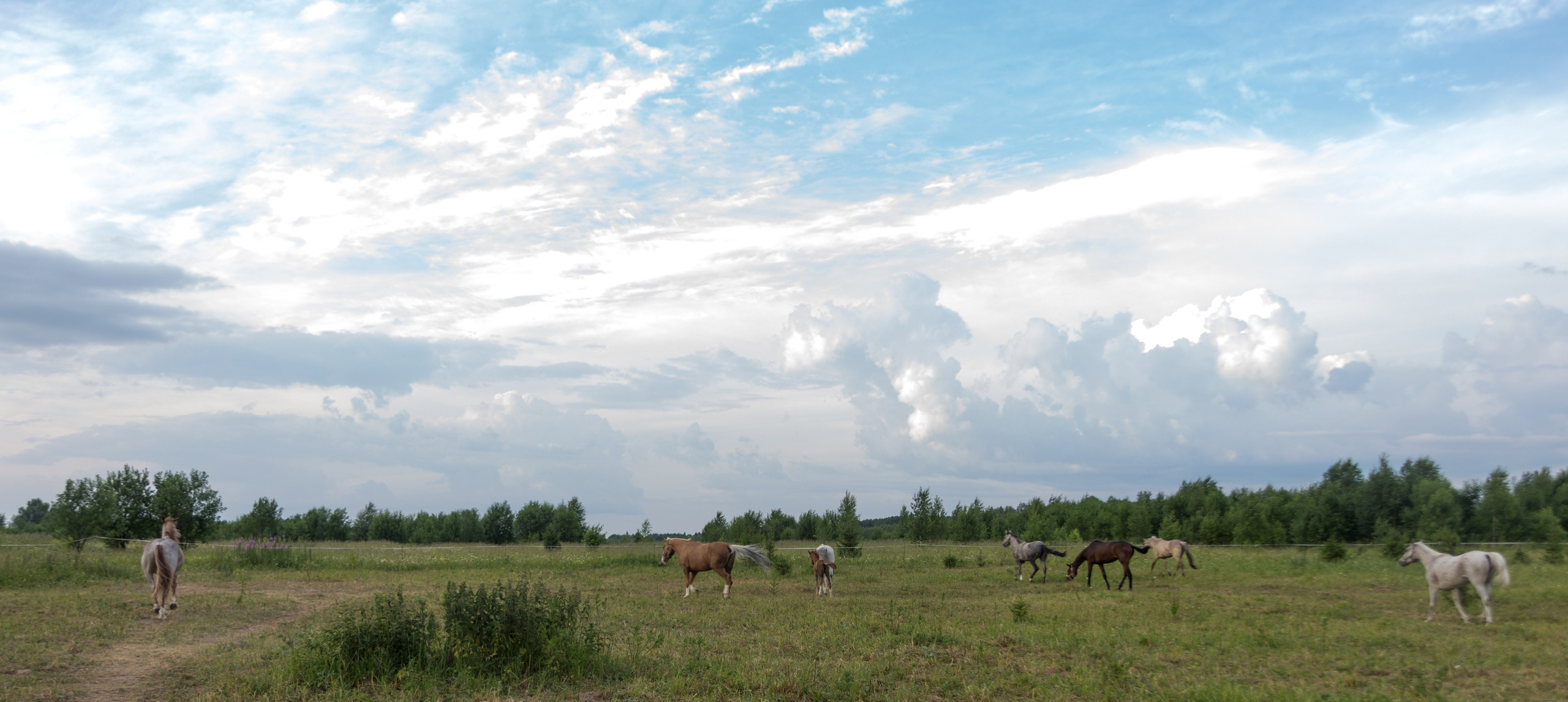 Лена в студии и на природе. Фотограф Пермь. Фотосессия в фотостудии Перми и на свежем воздухе