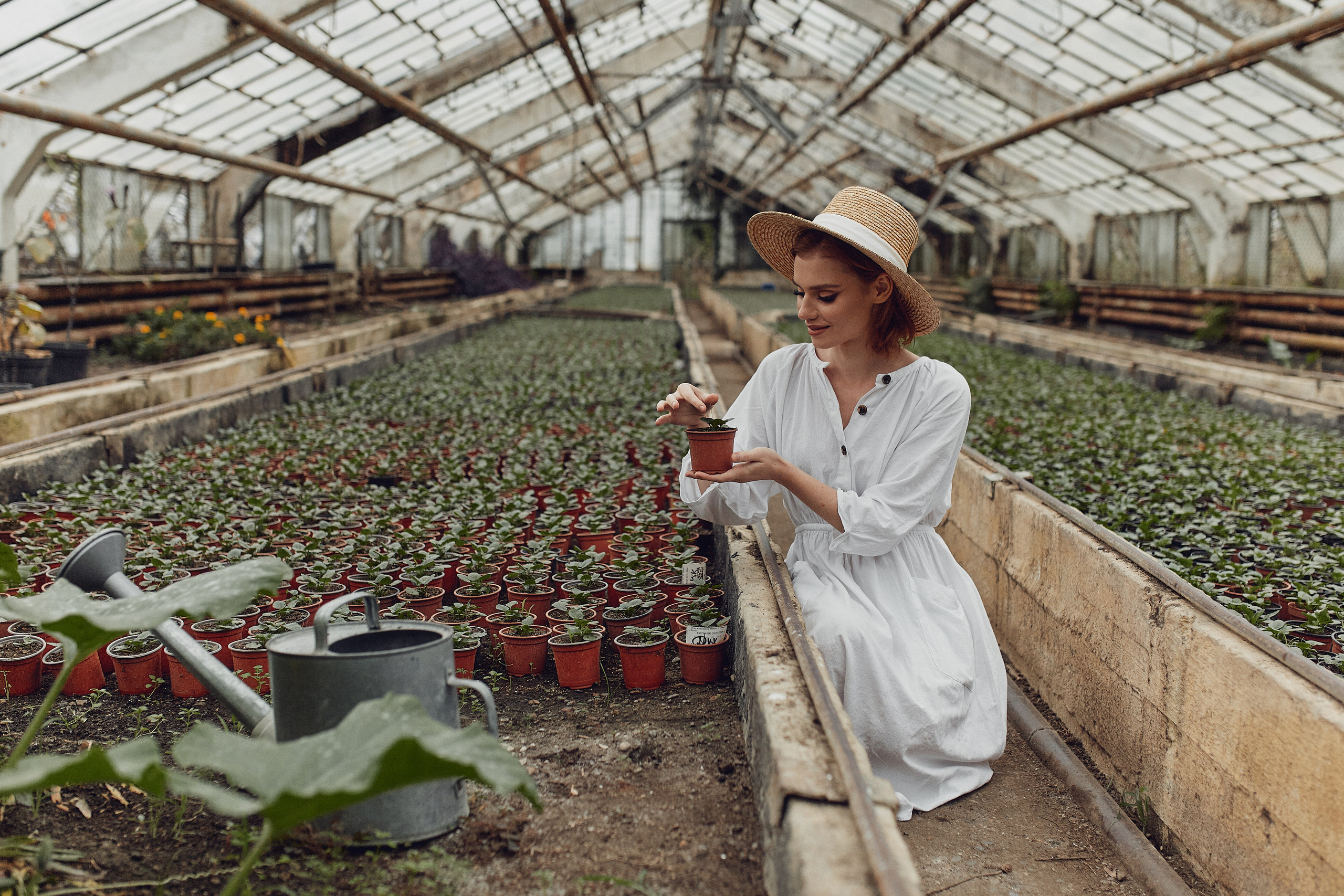 Старая оранжерея