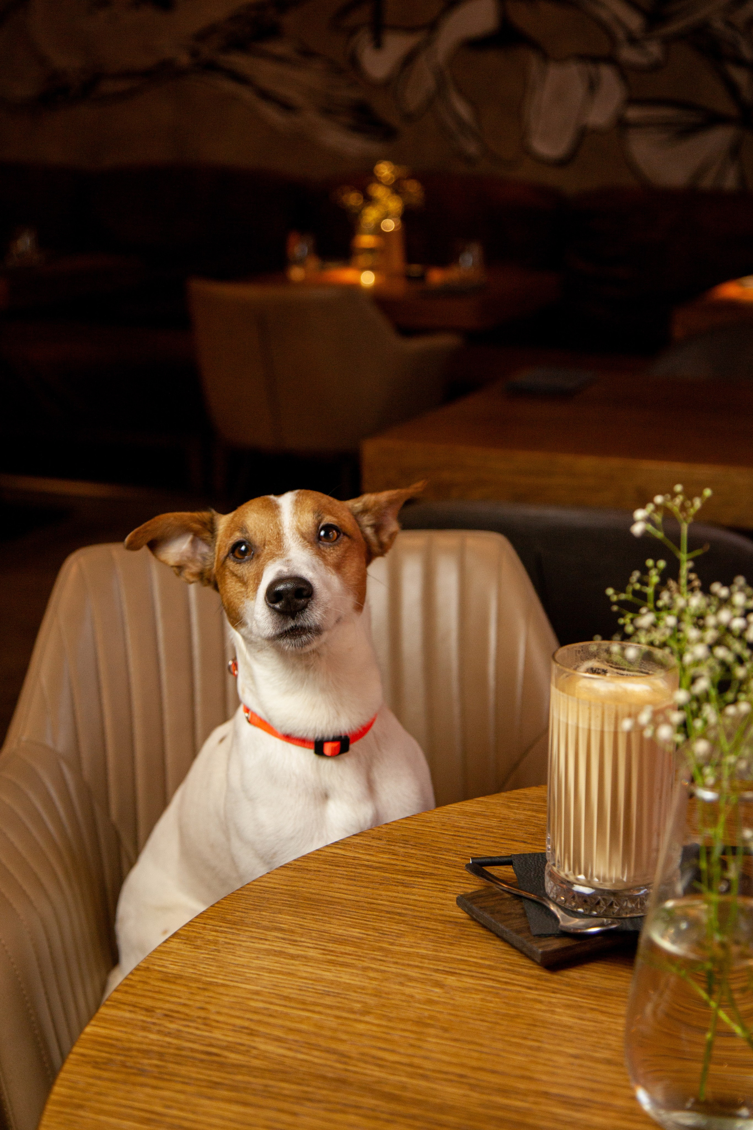 Контент съёмка для соц.сетей ресторанов, баров и кафе