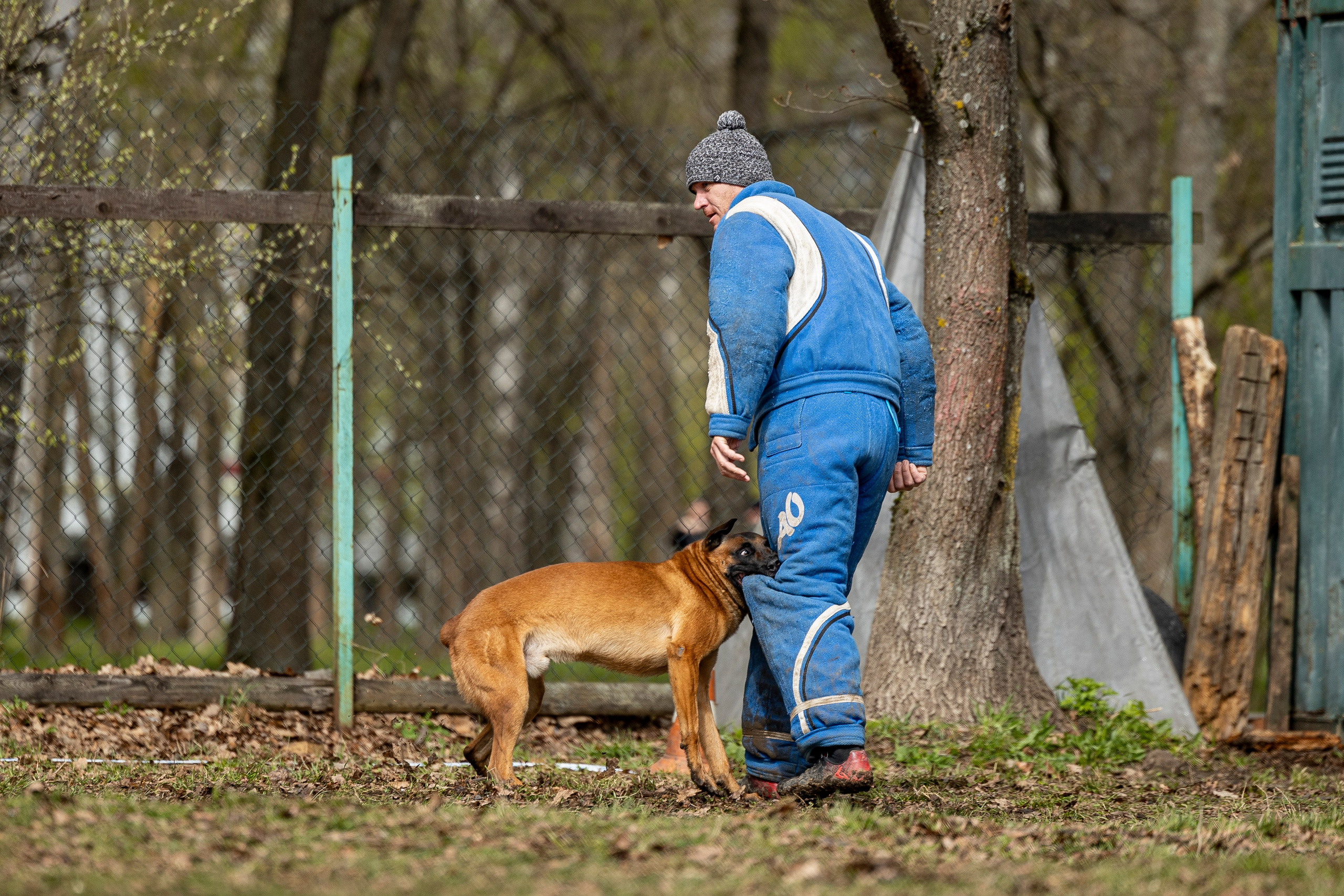 Квалификационные состязания по мондьорингу г. Вологда 11.05.24. Фотограф-анималист Анна Маринич